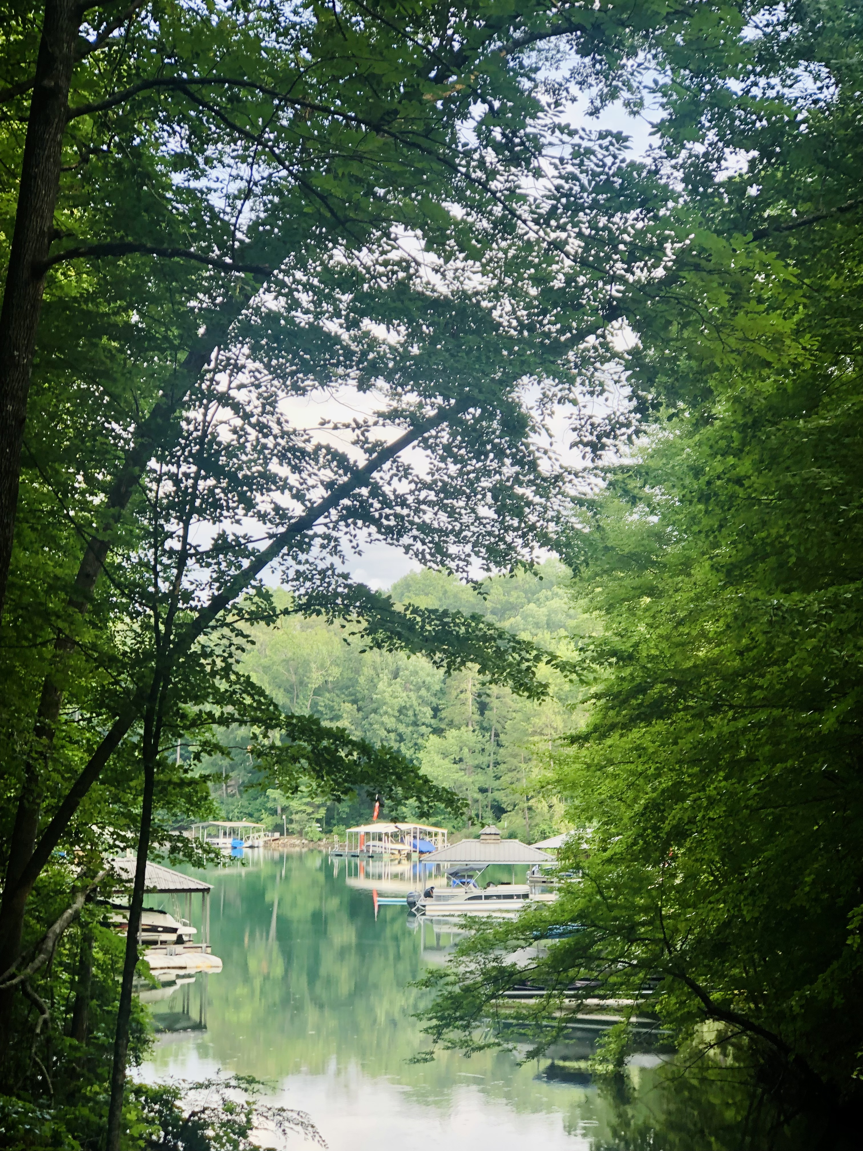 Serene Cove guesthouse at Lake Keowee
