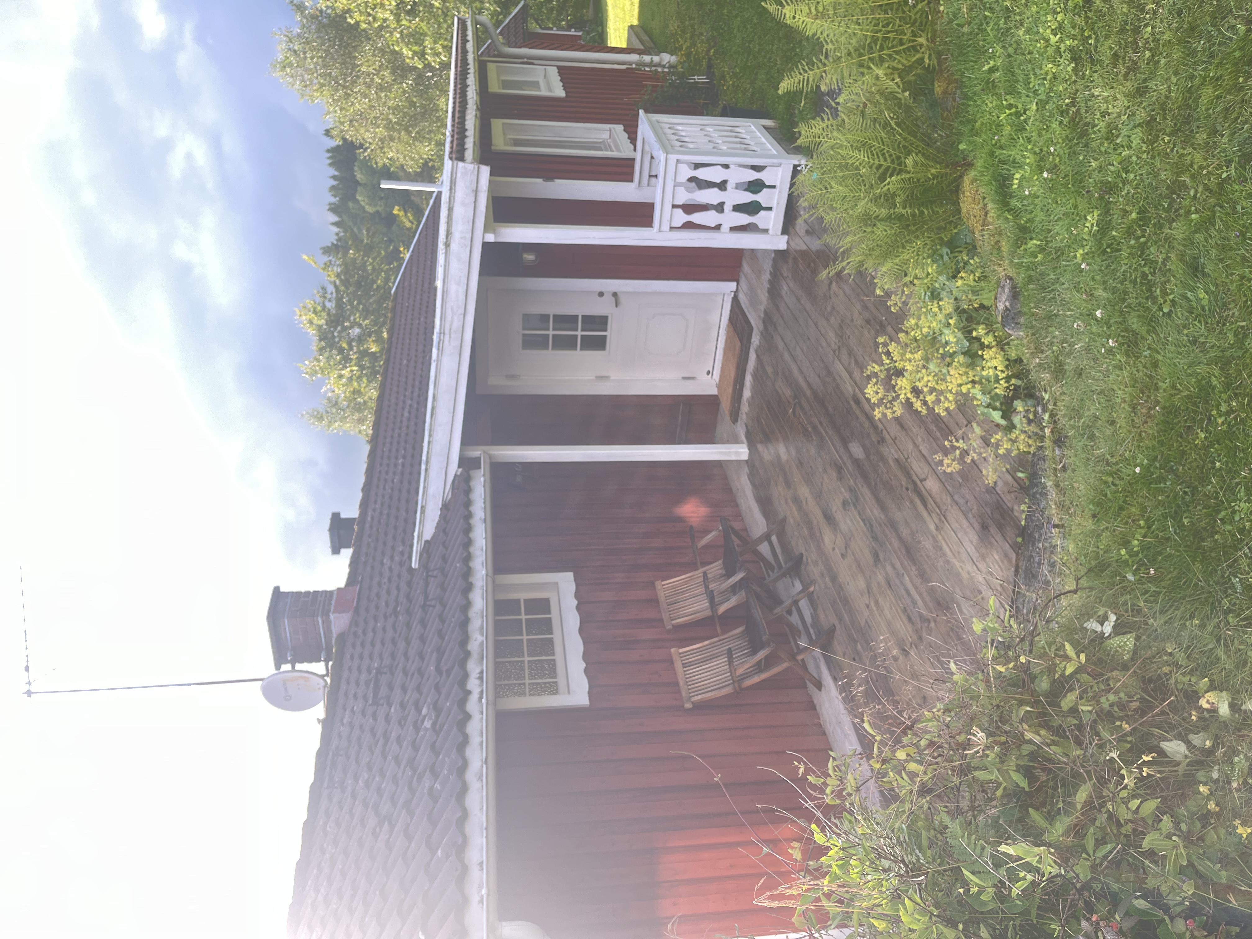 Summer cottage near forest and ocean