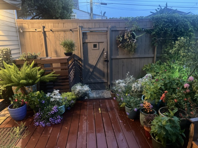 2 Bedroom Suite in Uptown New Orleans in Uptown, New Orleans