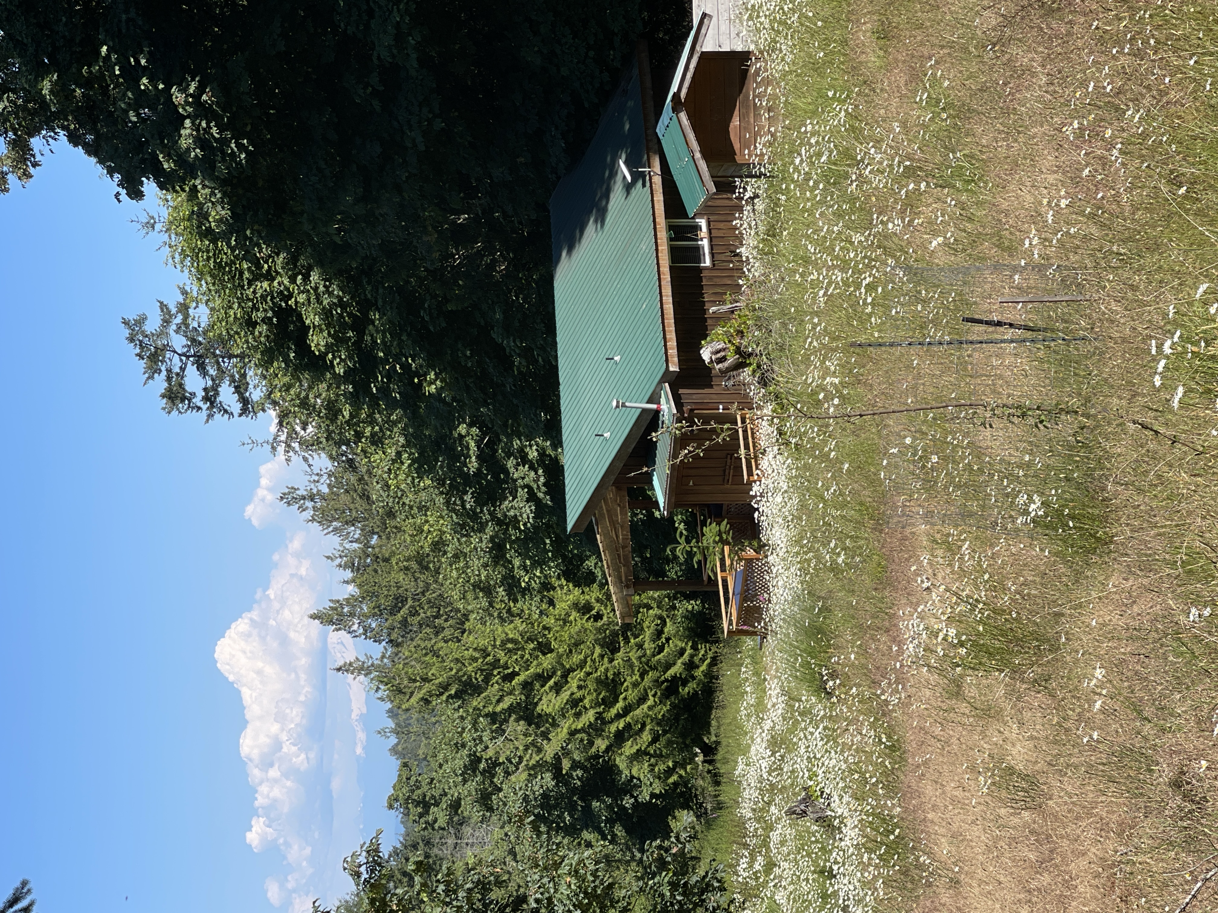 Welcome to the Meadowverse, your peaceful retreat