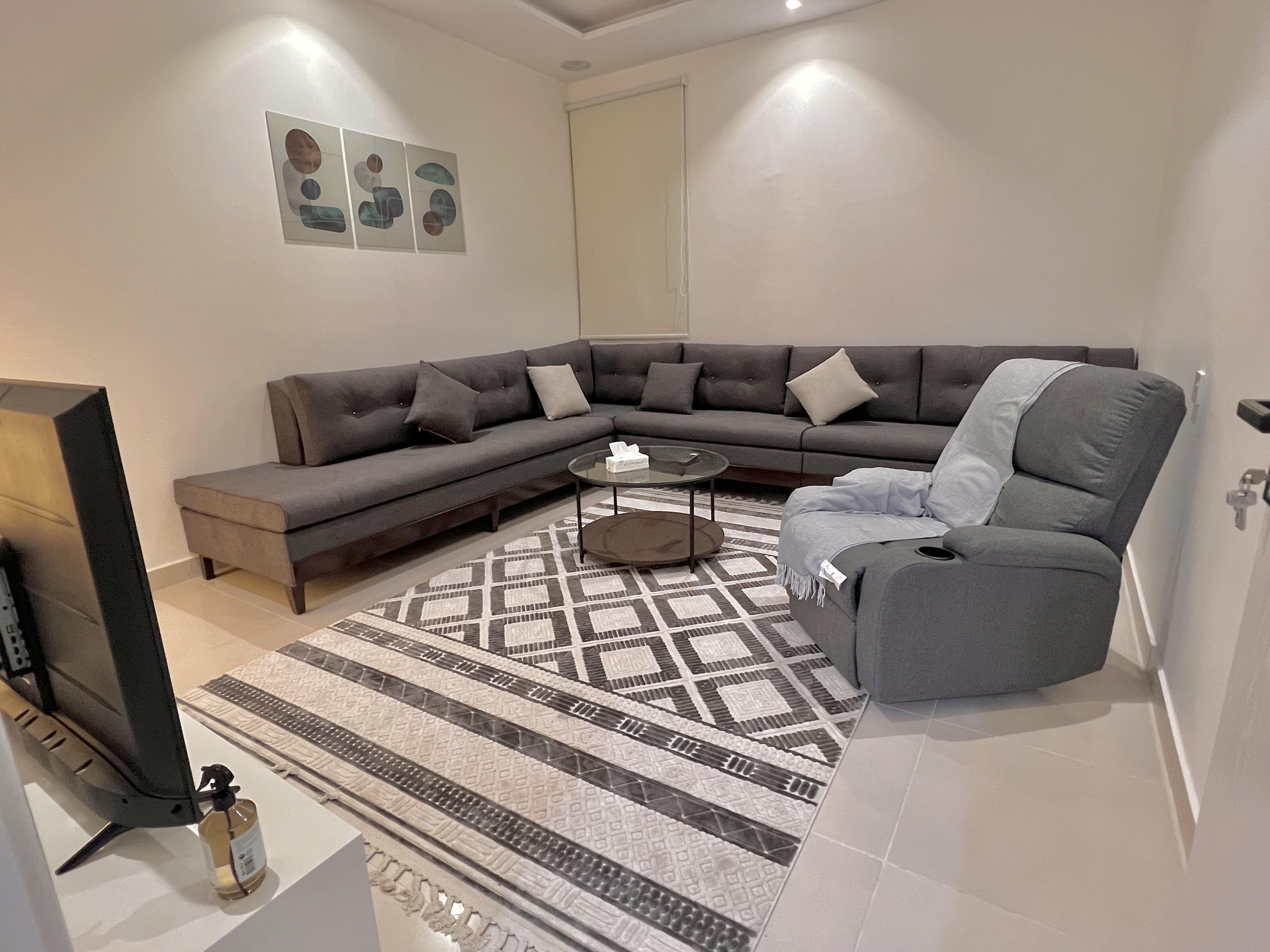 Apartment with a lounge and a bedroom