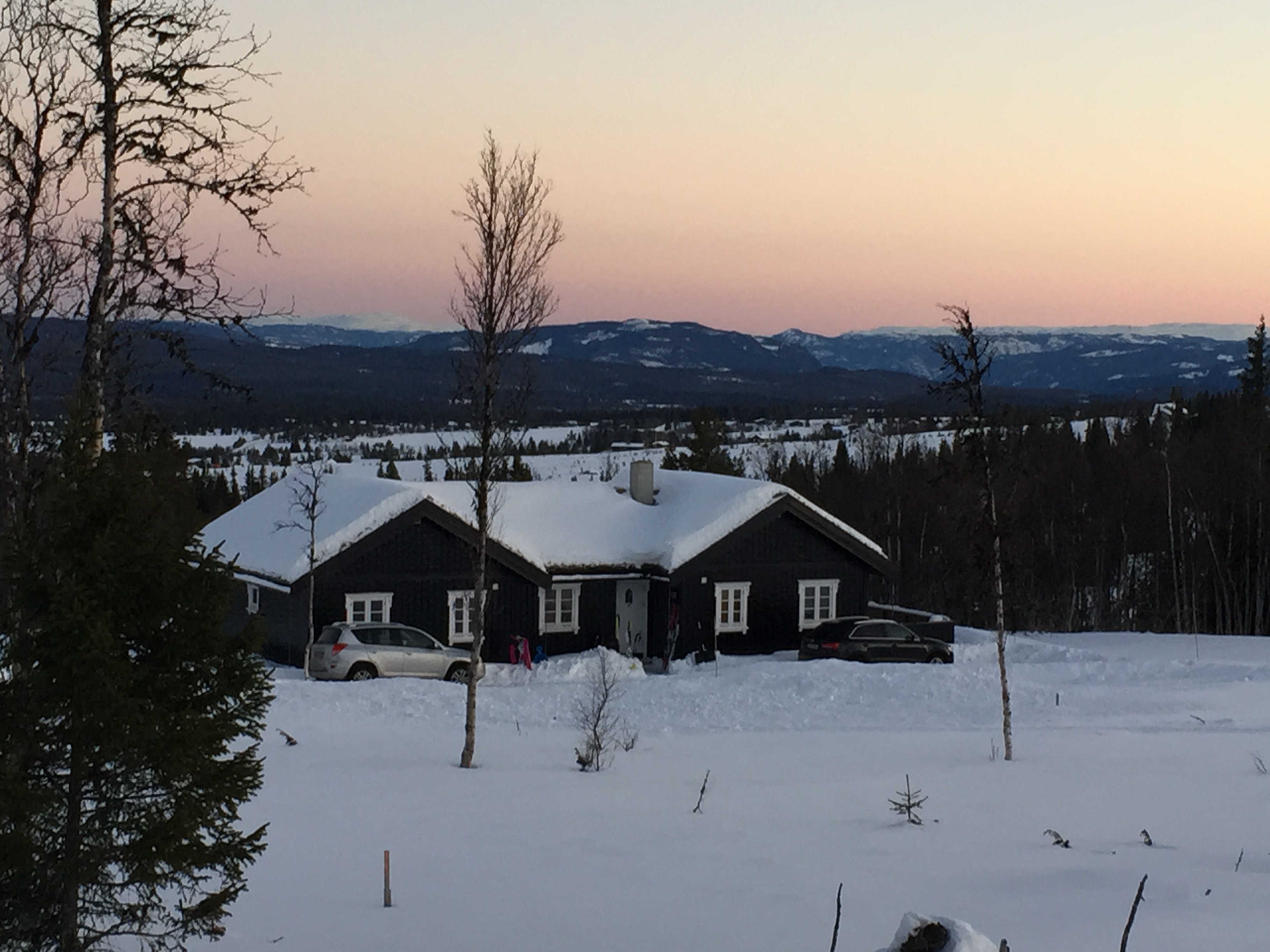 Great Golsfjellet - Bualie - 4 bedroom cabin
