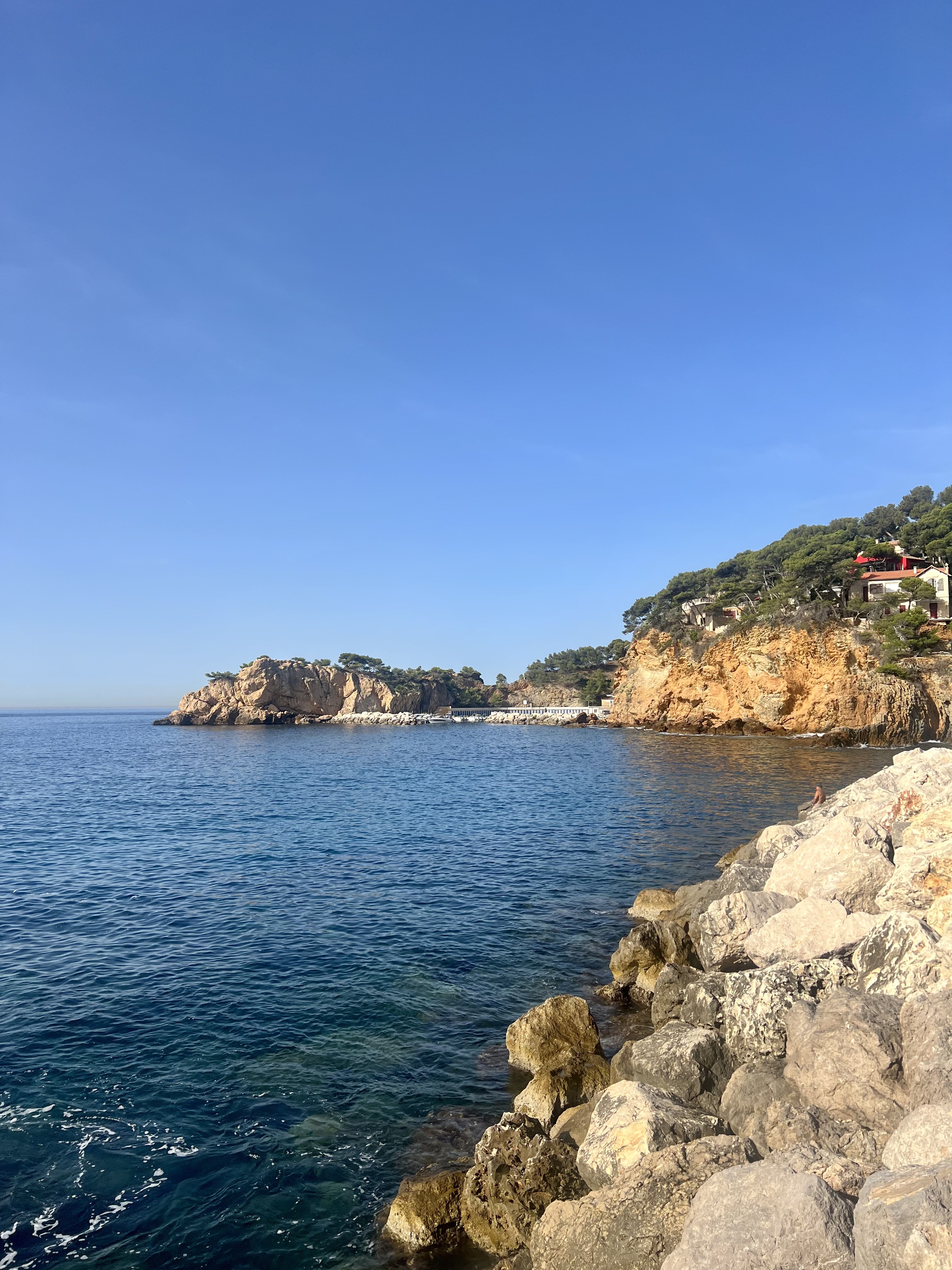 A nest in the Calanques