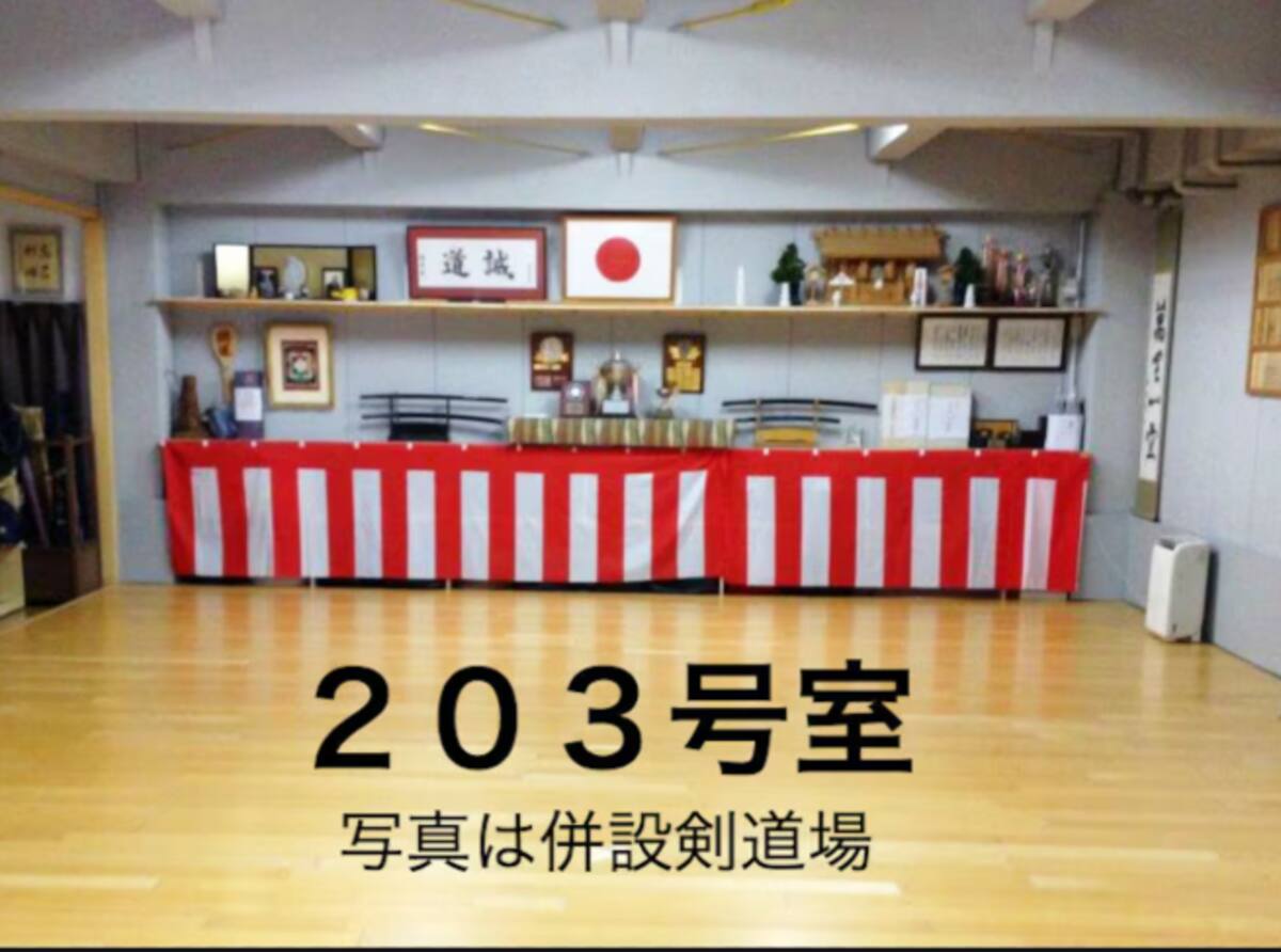 誠道館 1、ベッド2台のアパートメント 203