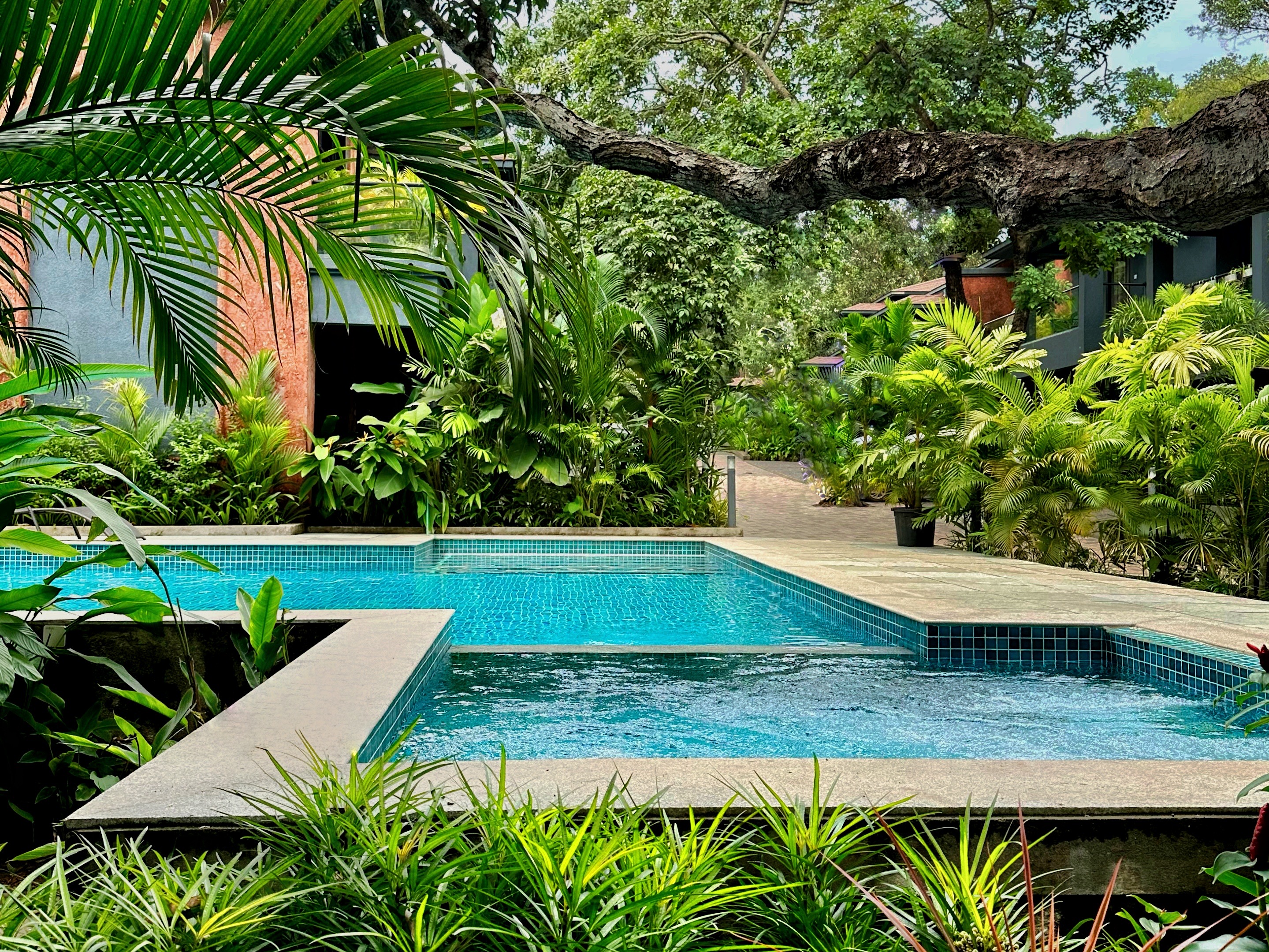 An Artist’s retreat in Assagao