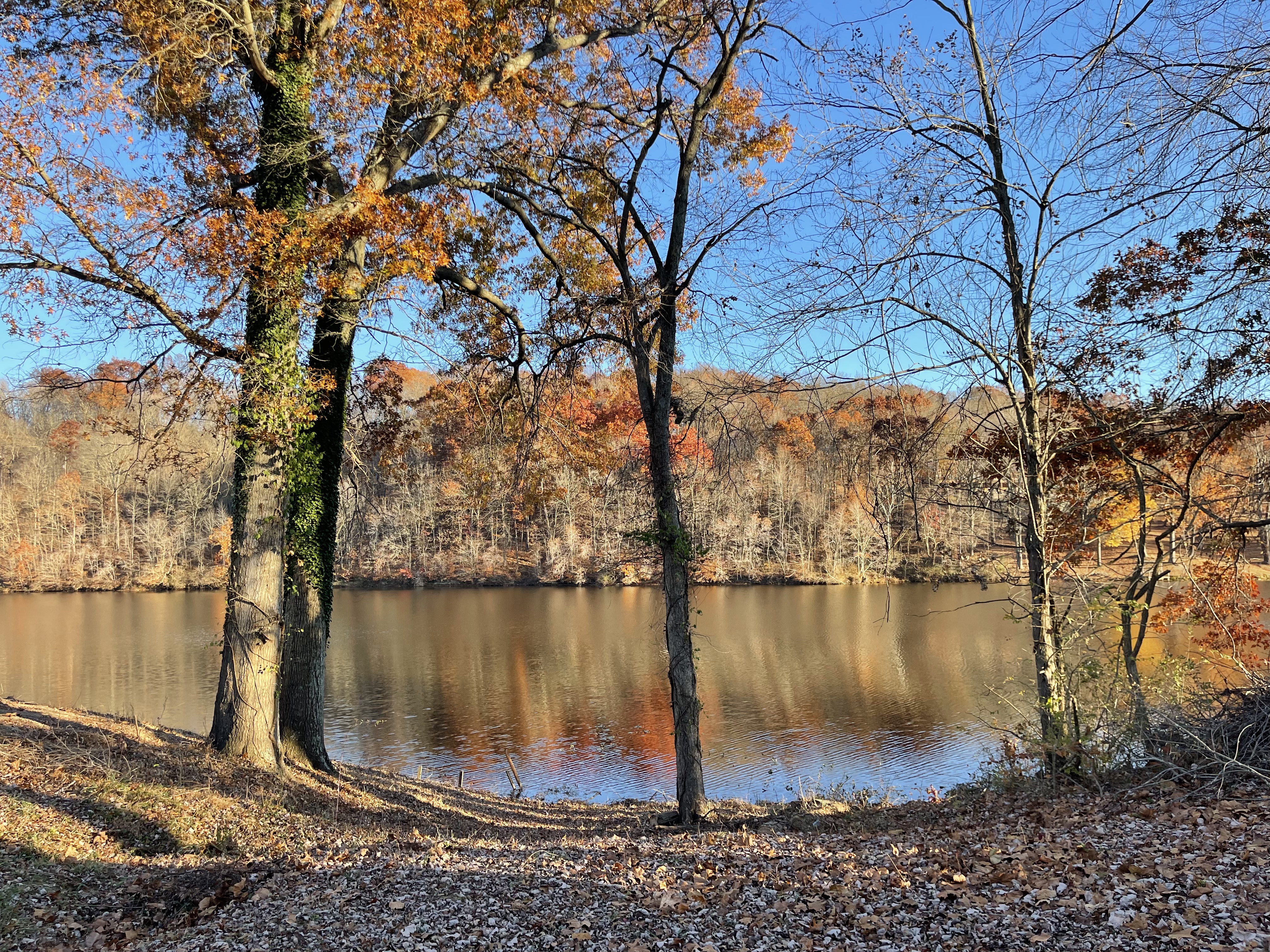 MLC #7-Oak Hill-3 BR-Lake View Cabin