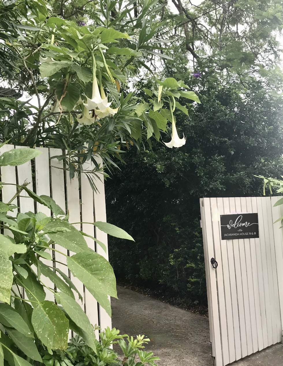 Leafy Kenmore Sanctuary with Private Garden Patio in Kenmore, Brisbane