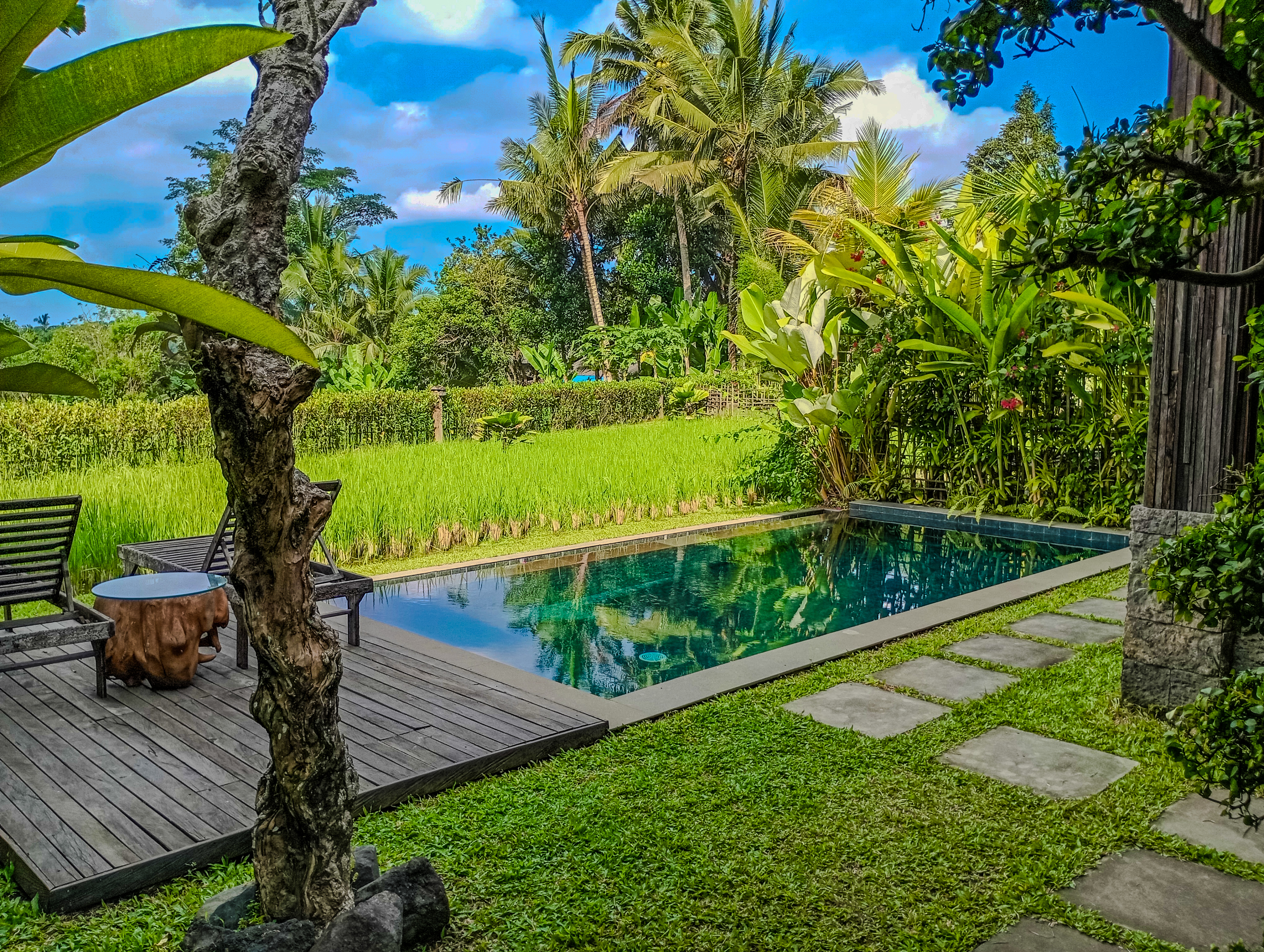 2BR Pool Villa Ricefield View