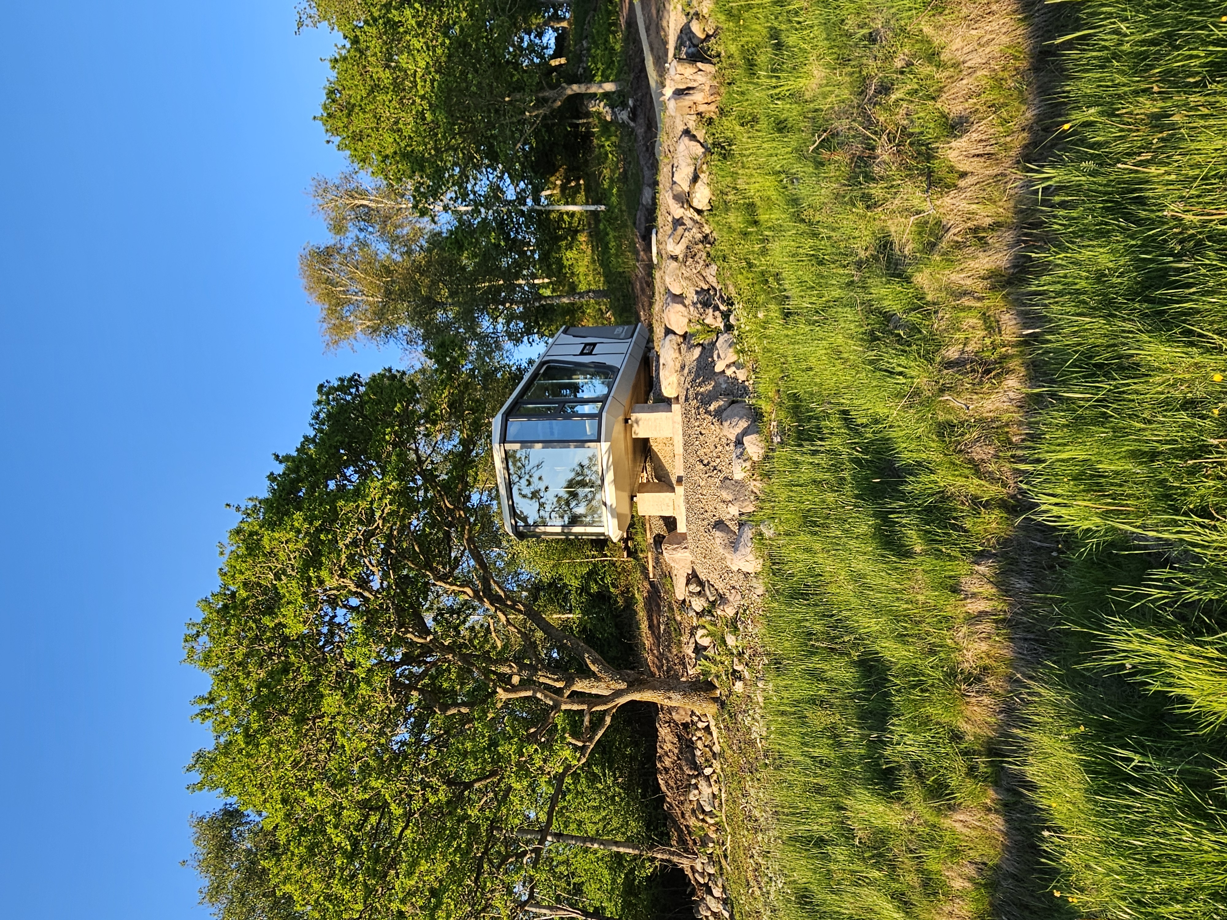 Forest Capsule Experience