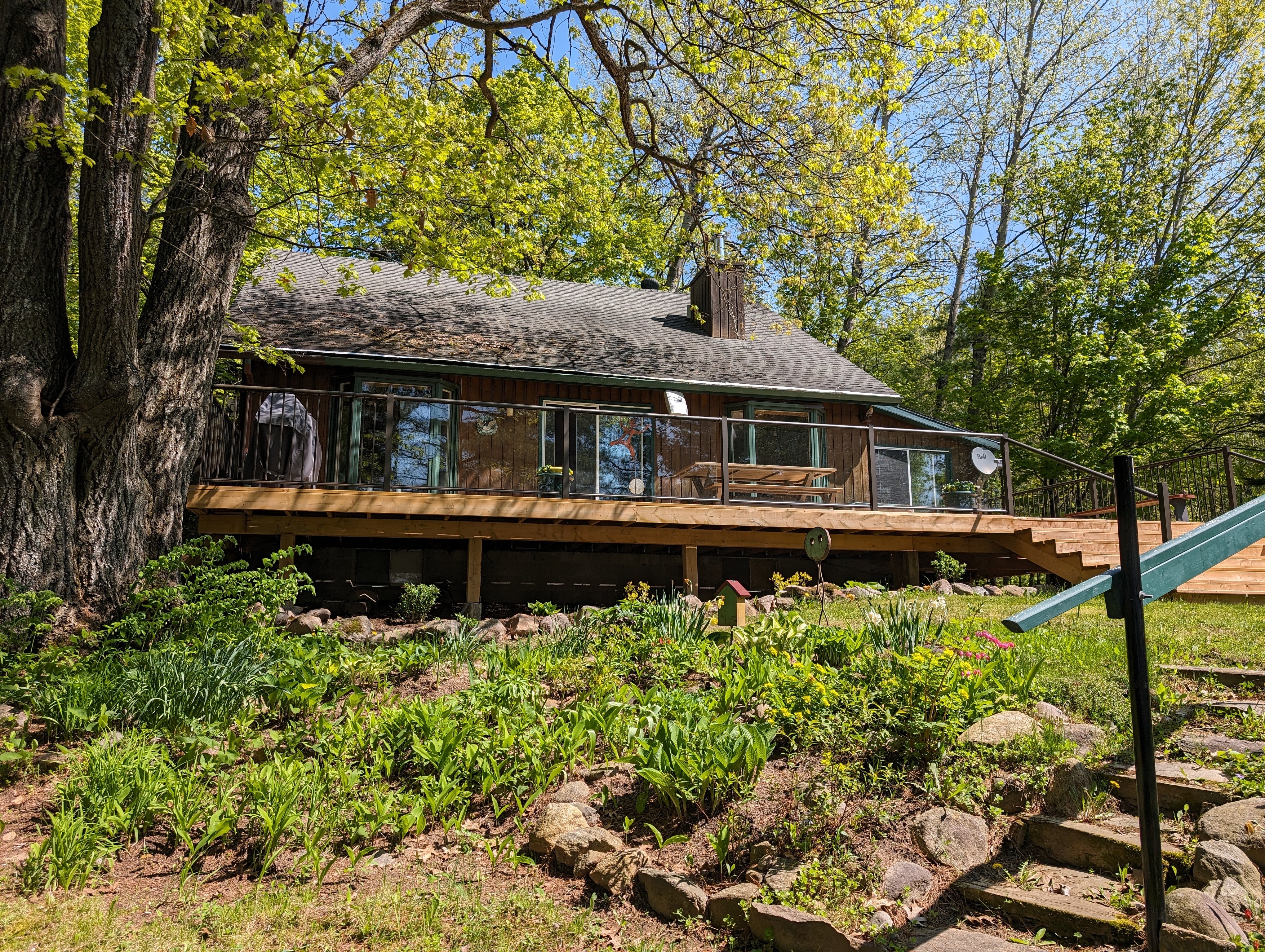 Sweet 4 bedrm Muskoka Lakefront Cottage