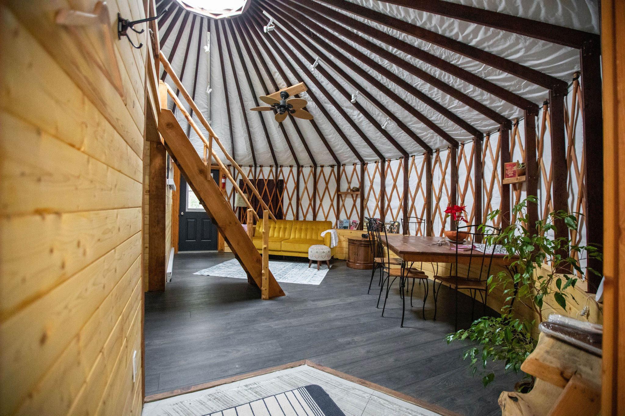 The Cedar Yurt