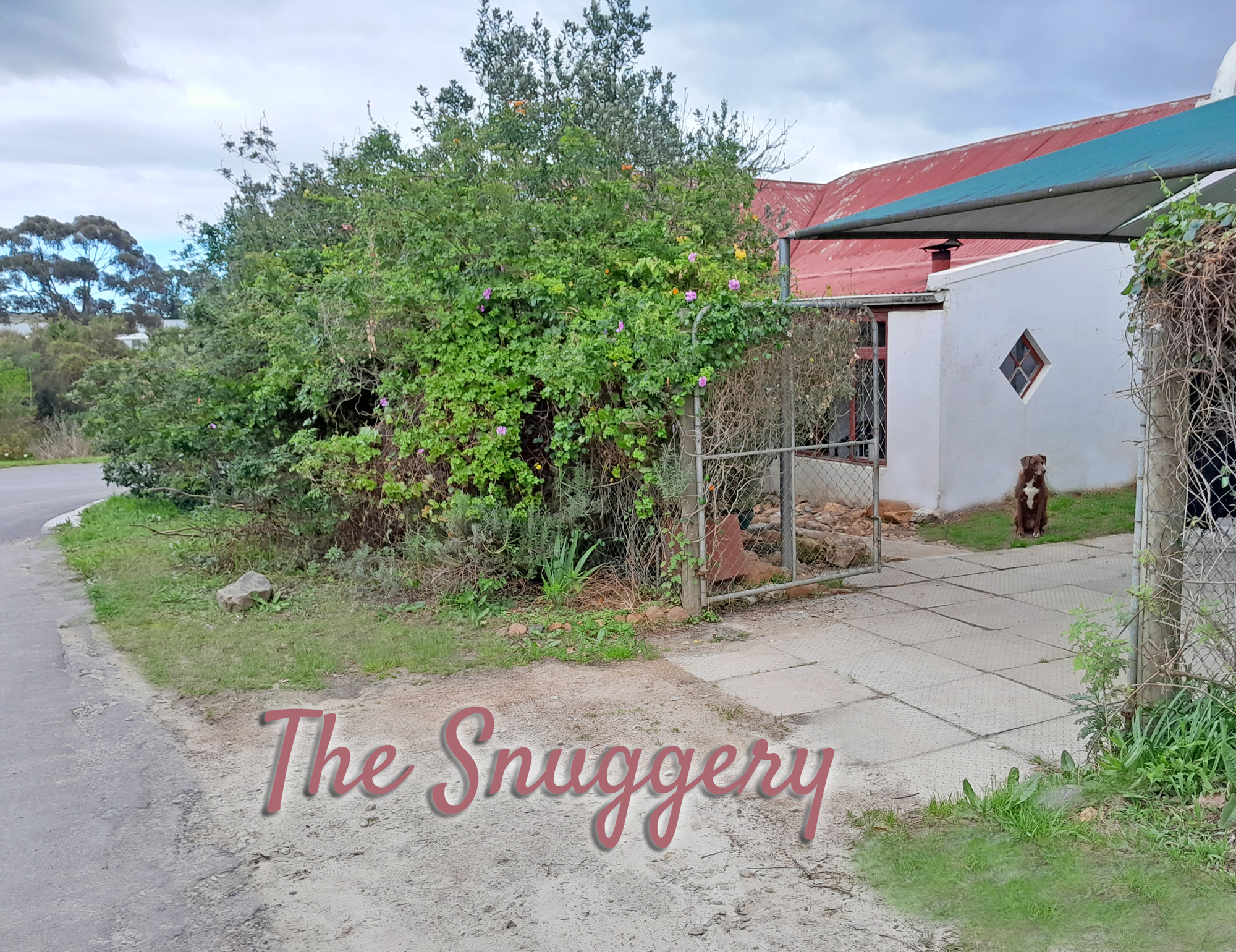 The Snuggery