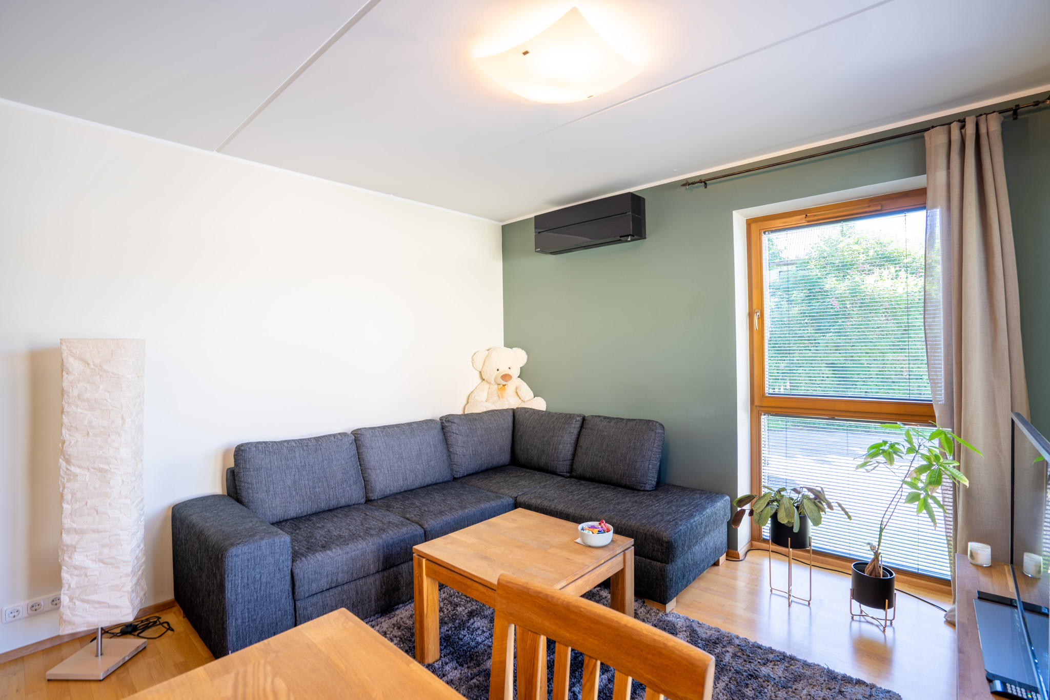 Cozy apartment in a suburb