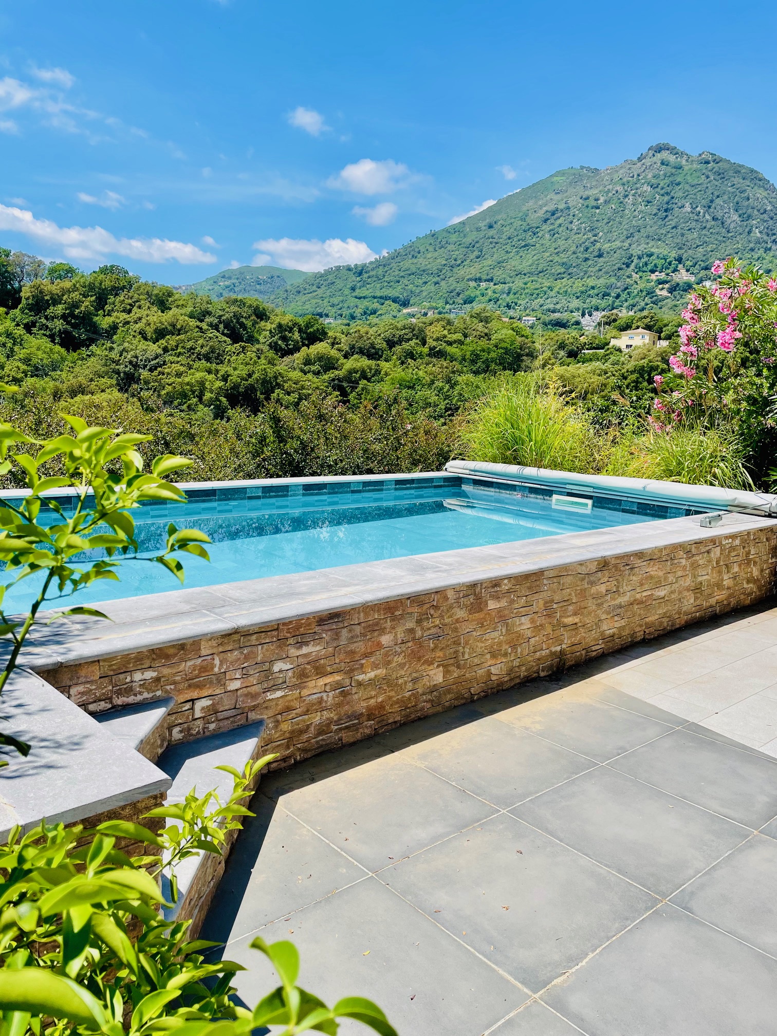 House with pool in Cervione