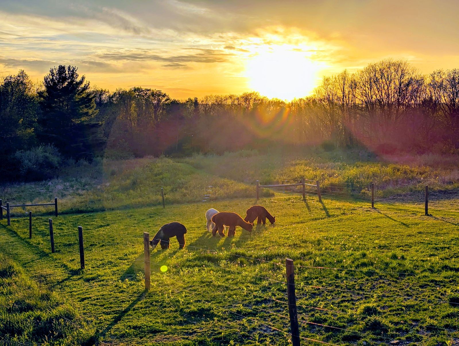 Watkins Glen, off the Seneca Lake Wine Trail