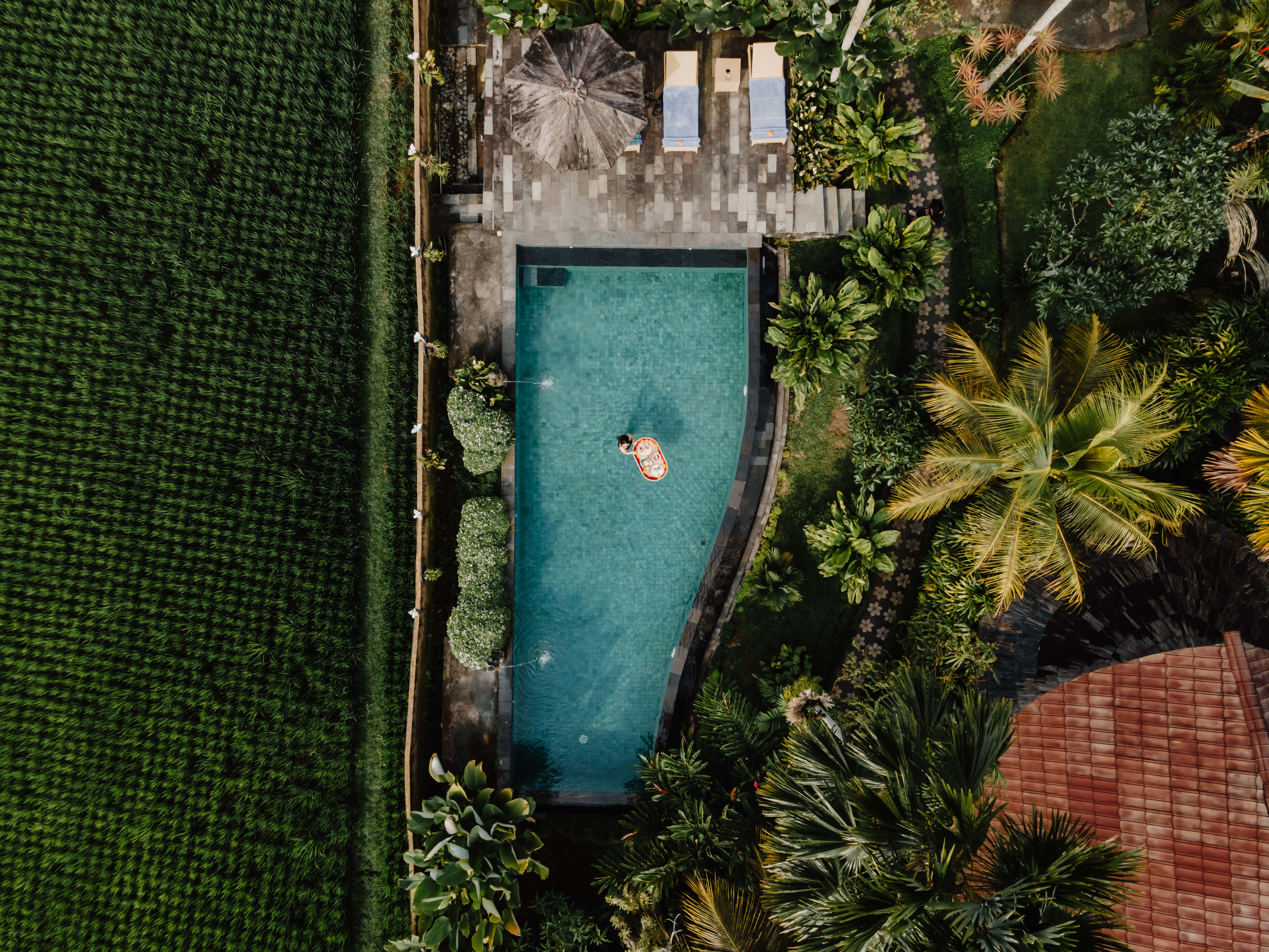 Bamboo Eco Lodge in Ubud
