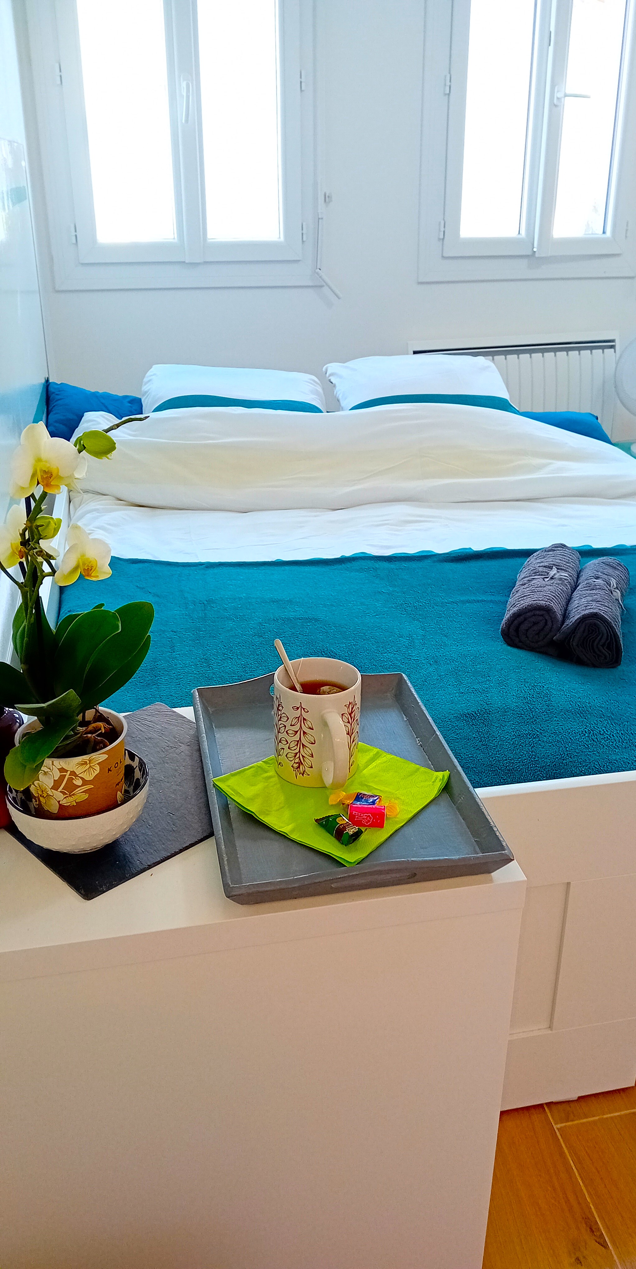 New Studio/NEAR CDG/Direct Paris center/Disneyland
