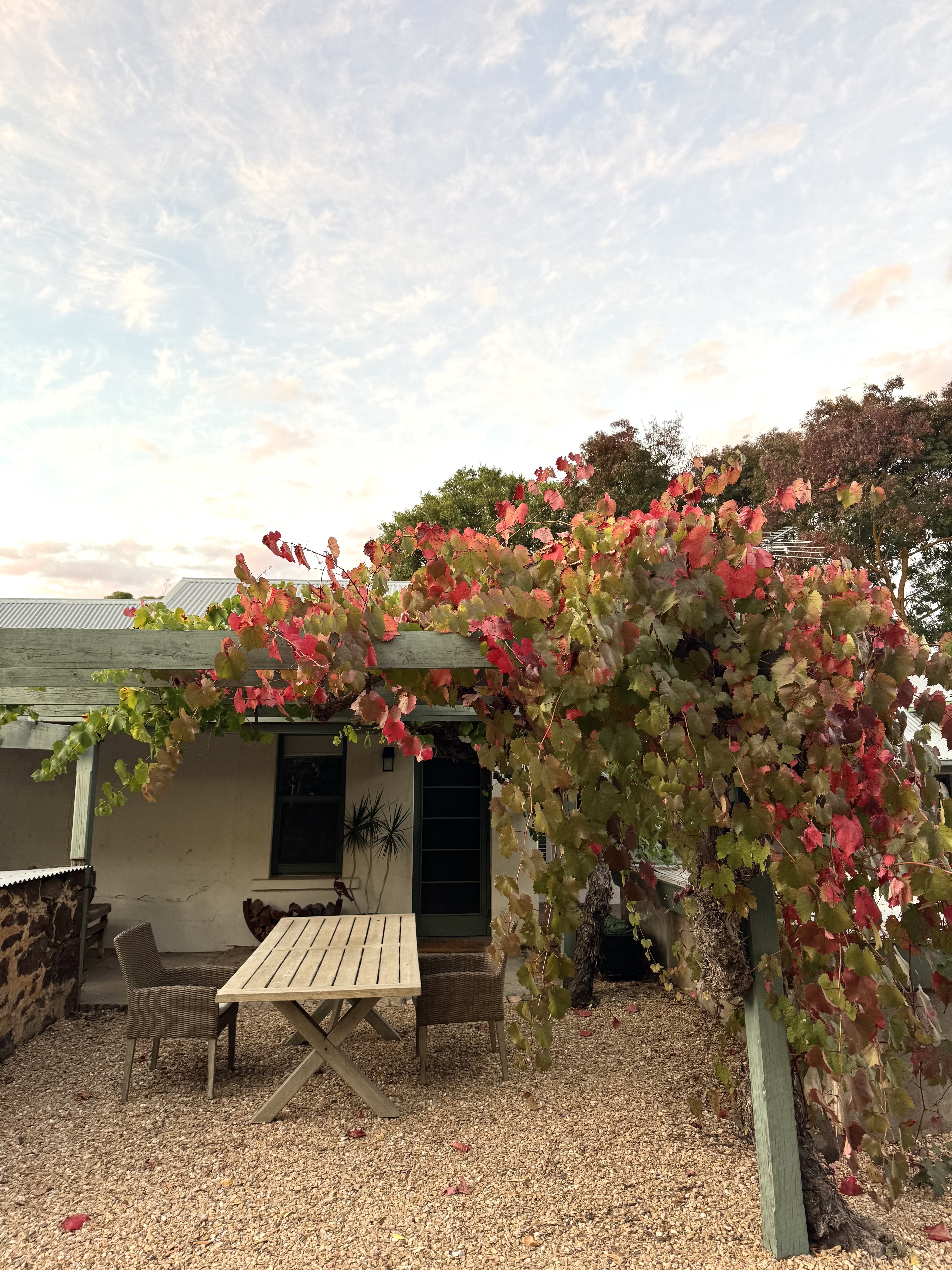 Alberts cottage in Light Pass, Barossa Valley