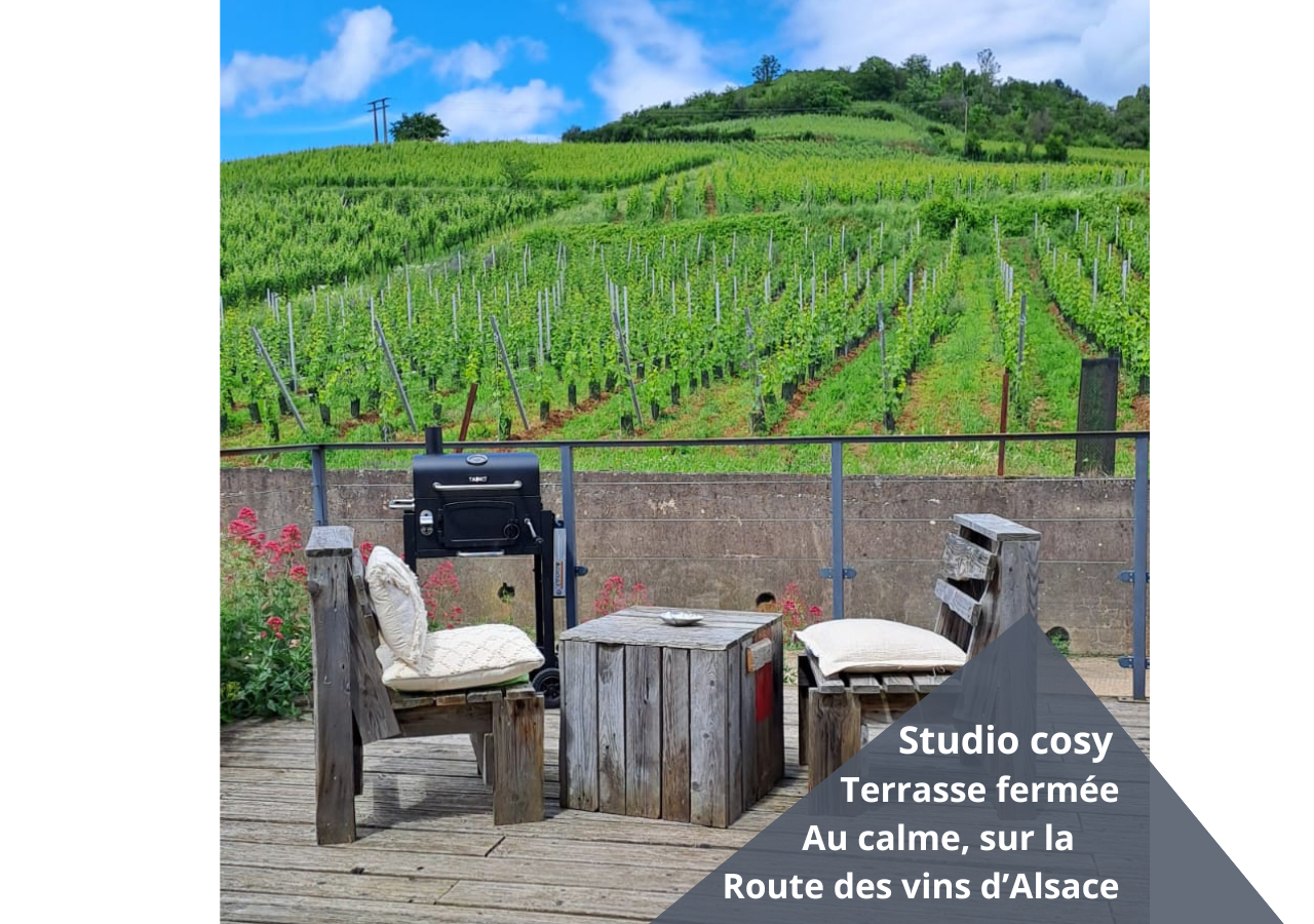 At the foot of the vineyards, cozy and warm cocoon!