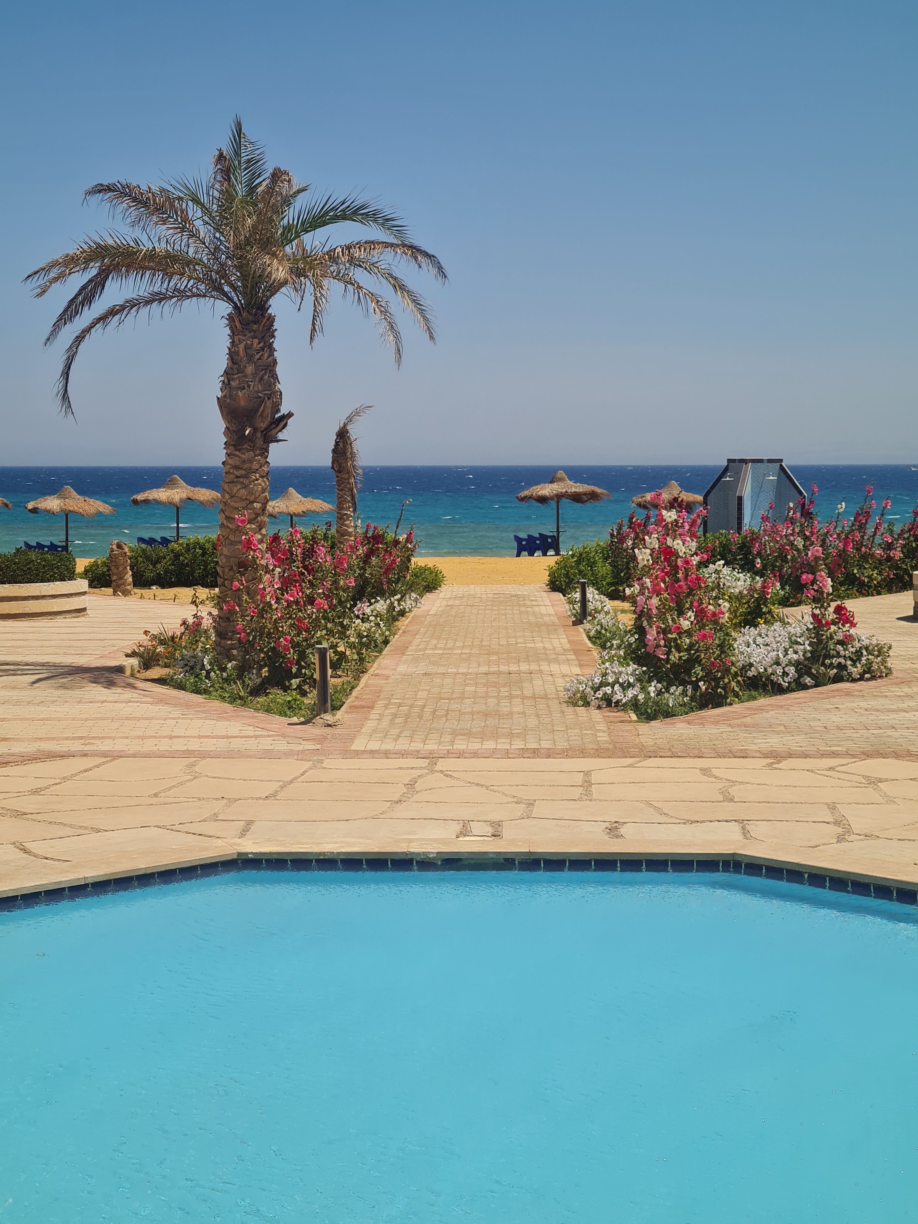 Seaview k6g3 with garden at pool