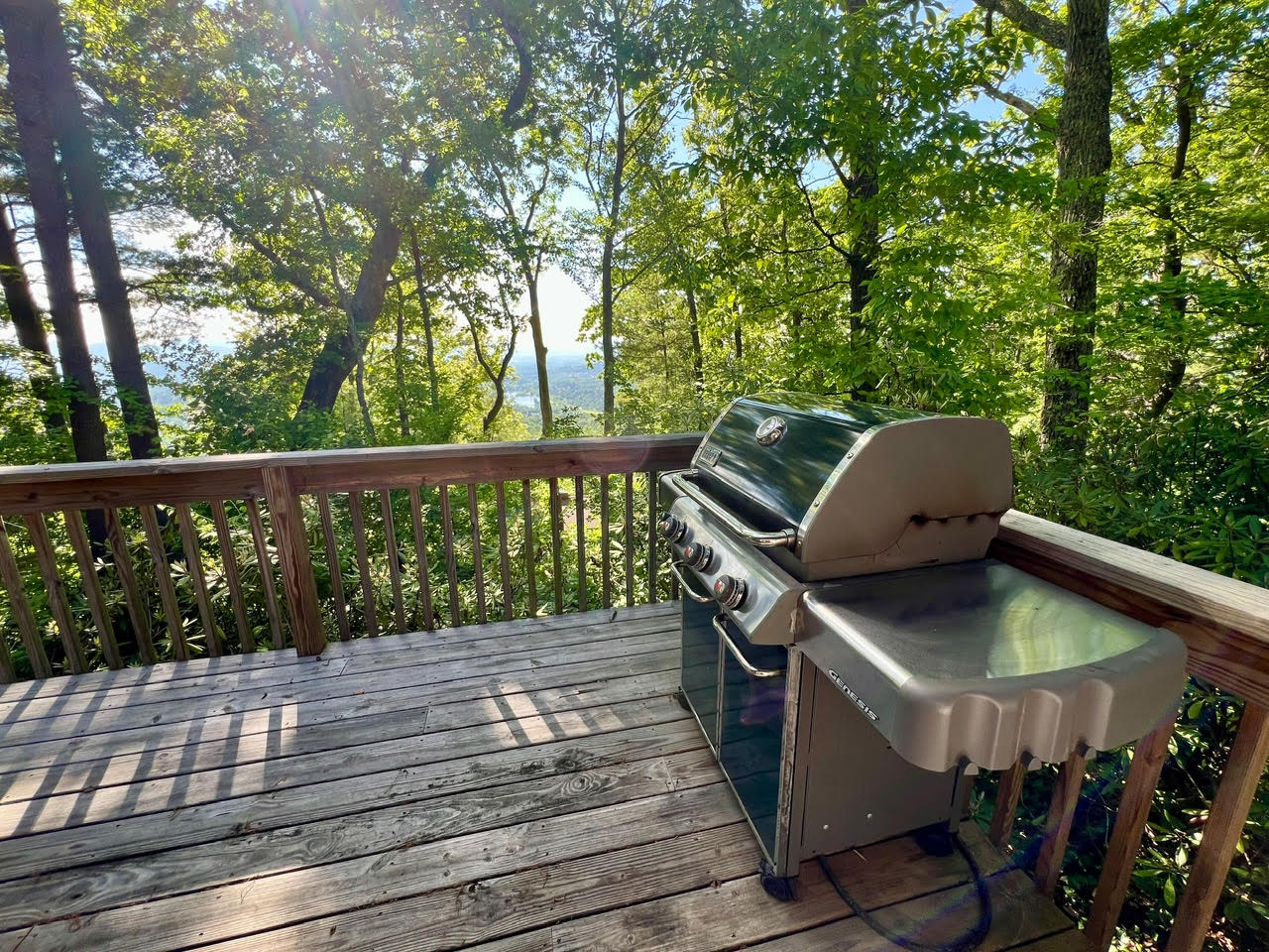 Fireplace, Deck, King Bed, 2 Family Rooms, Sunset in 28804, Asheville