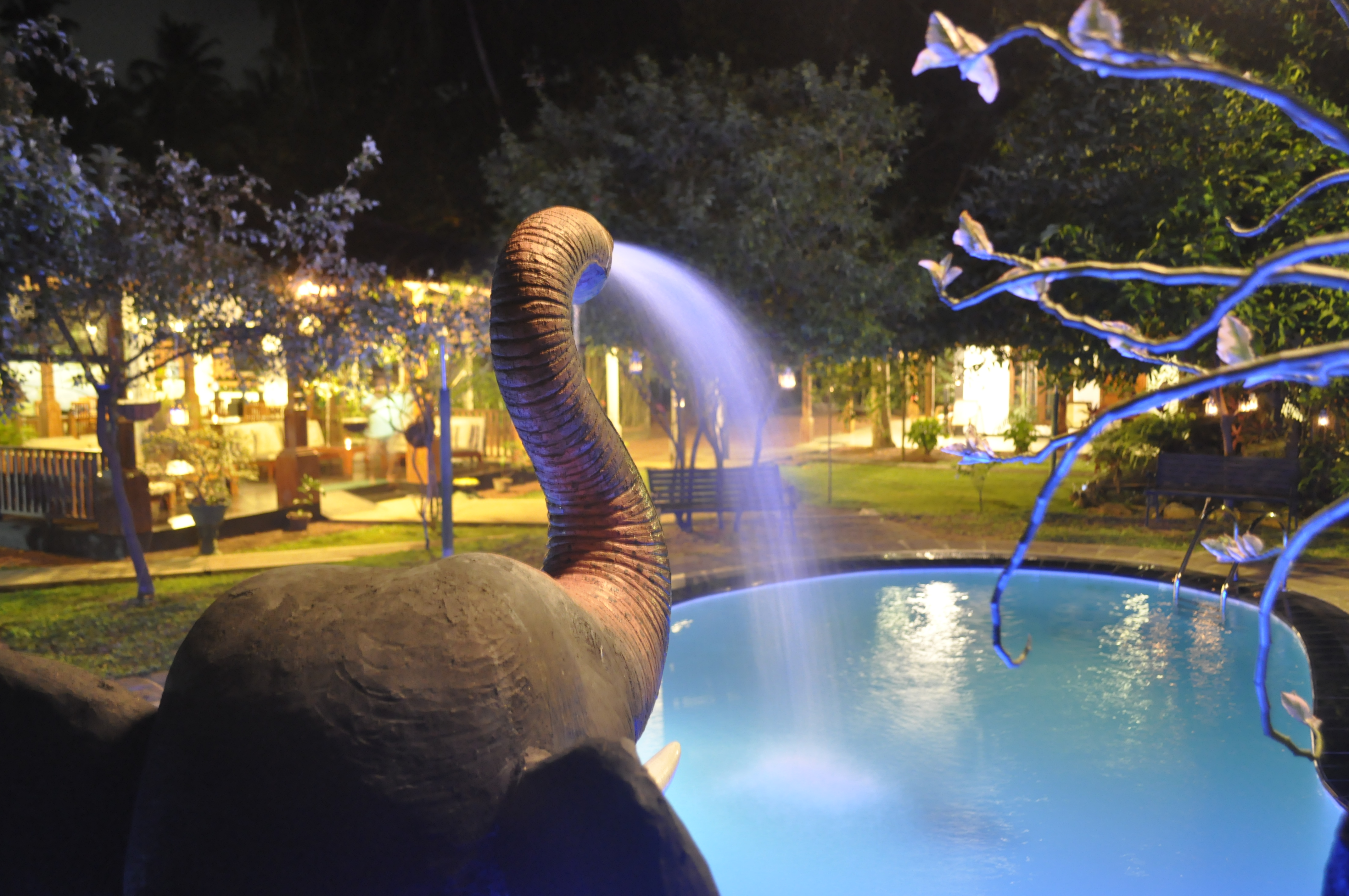 Villa 80 Bentota - Pool-Side Apartment
