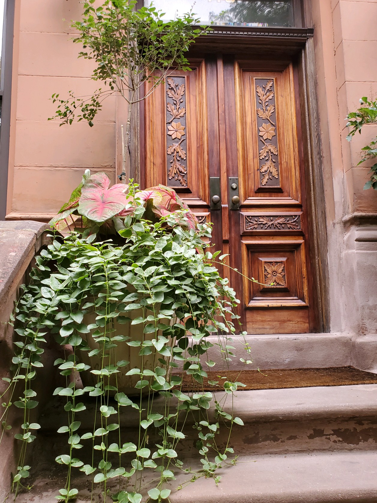 Cozy private room and bathroom in a Brownstone