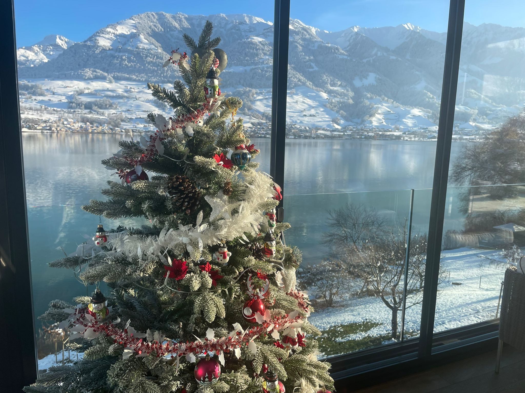 wildswans　casa Villa Wilen - Top views, Lake Access, Luxurious - Apartments for