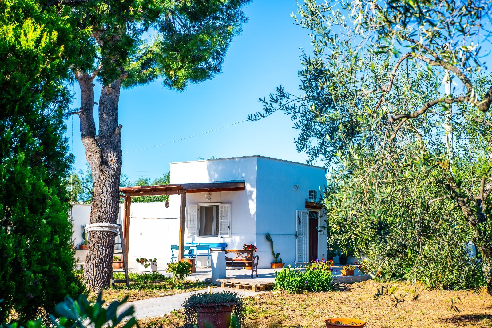 Aiko house