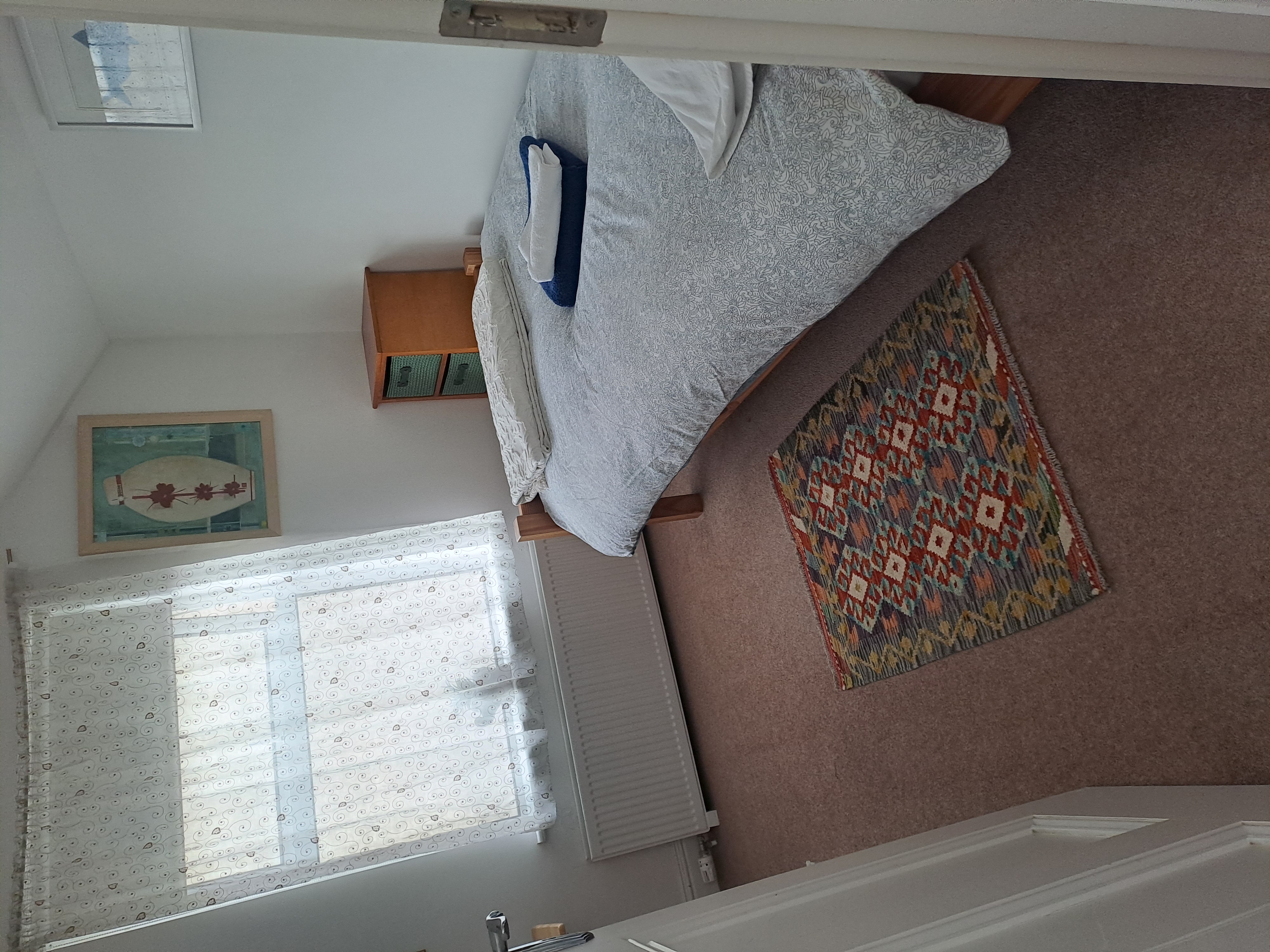 1 single cosy room in Ranelagh
