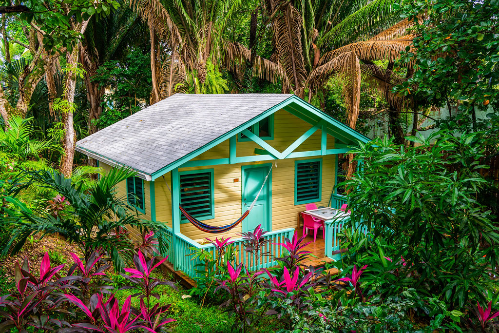 Vibrant Garden Casita By The Beach | Puerta Azul