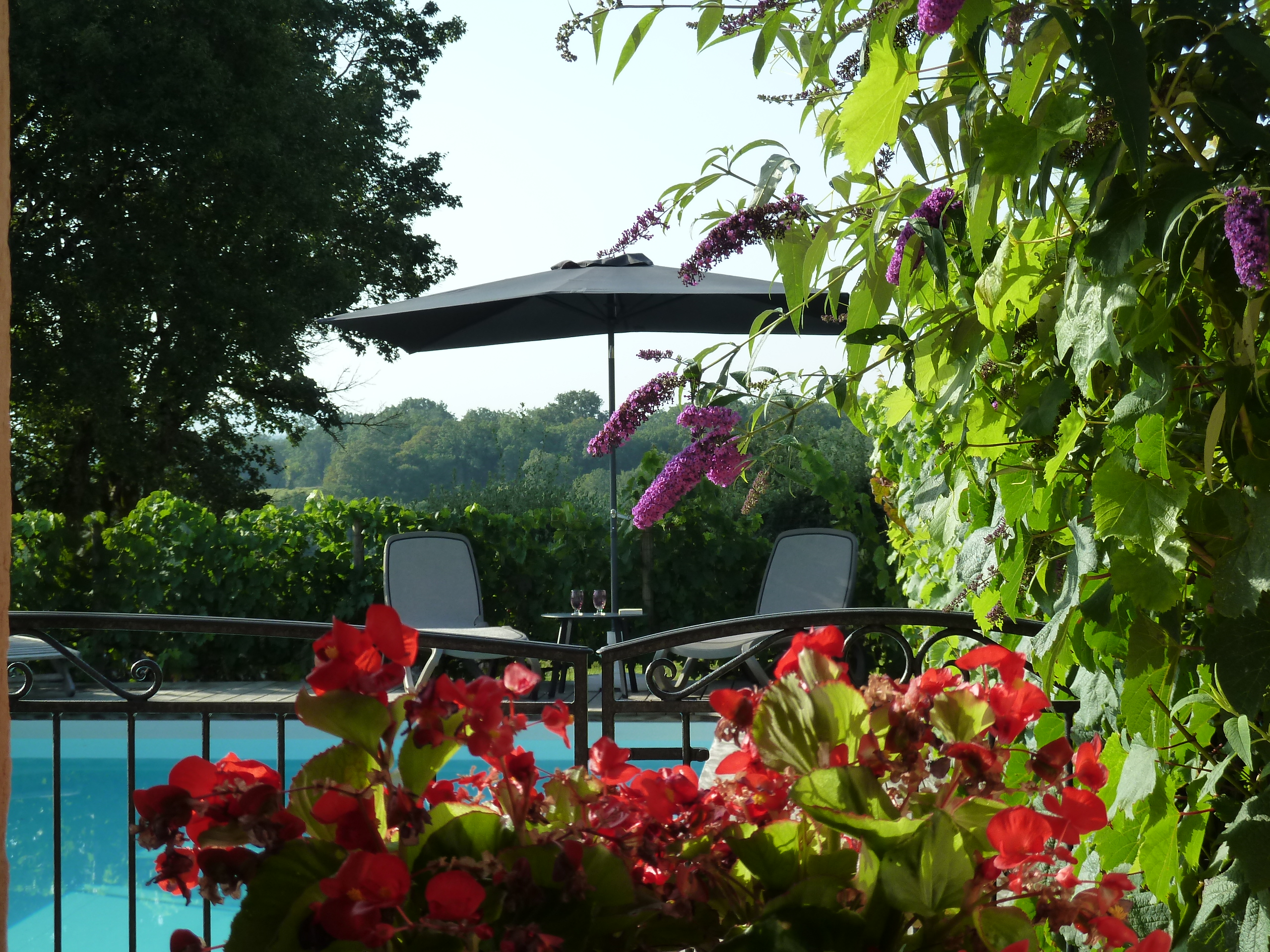 House 4 pers. with private swimming pool in Loubressac