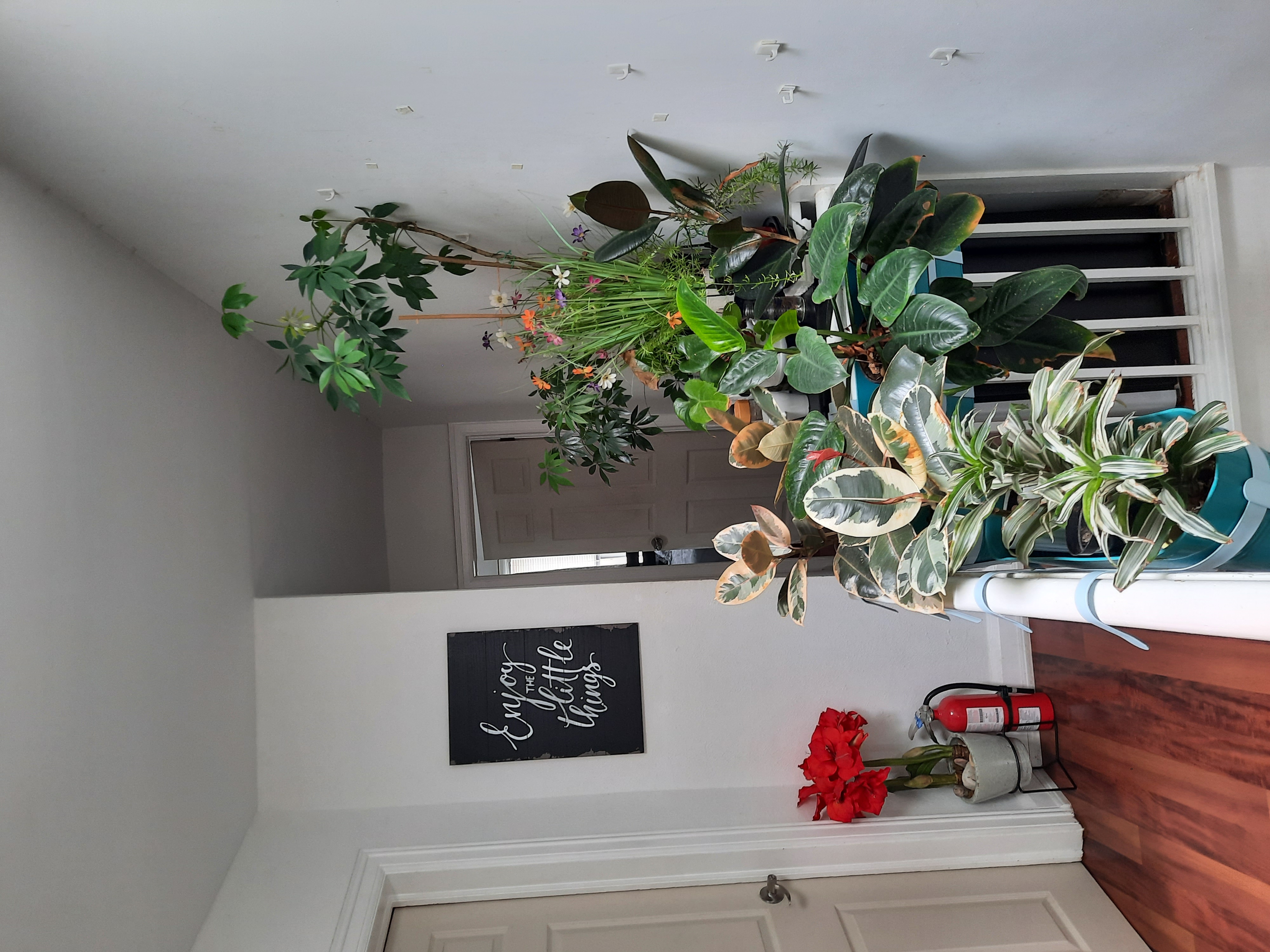 Private Bedroom in the heart of Downtown Toronto