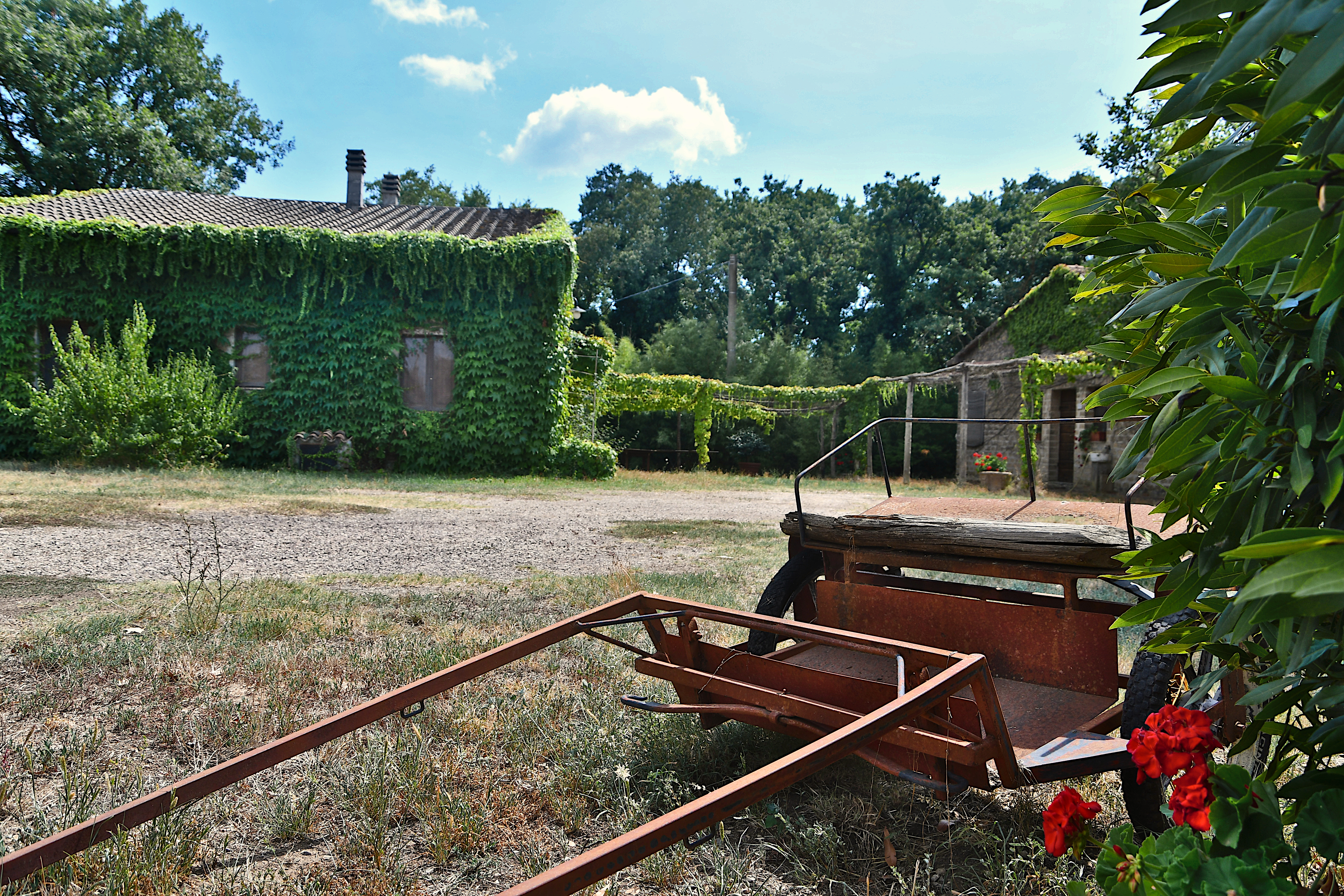 La Melagrana - where the Forest Begins