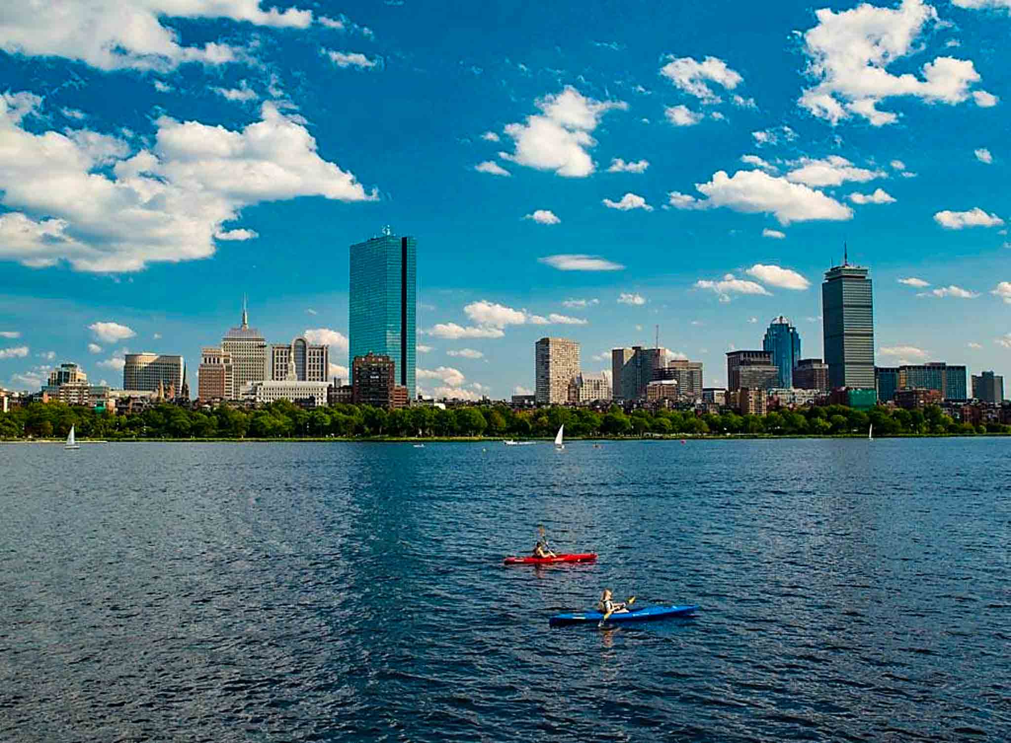 Walk to Harvard/MIT/BU Near NEU/MGH Comfy & Quiet in Cambridgeport, Cambridge