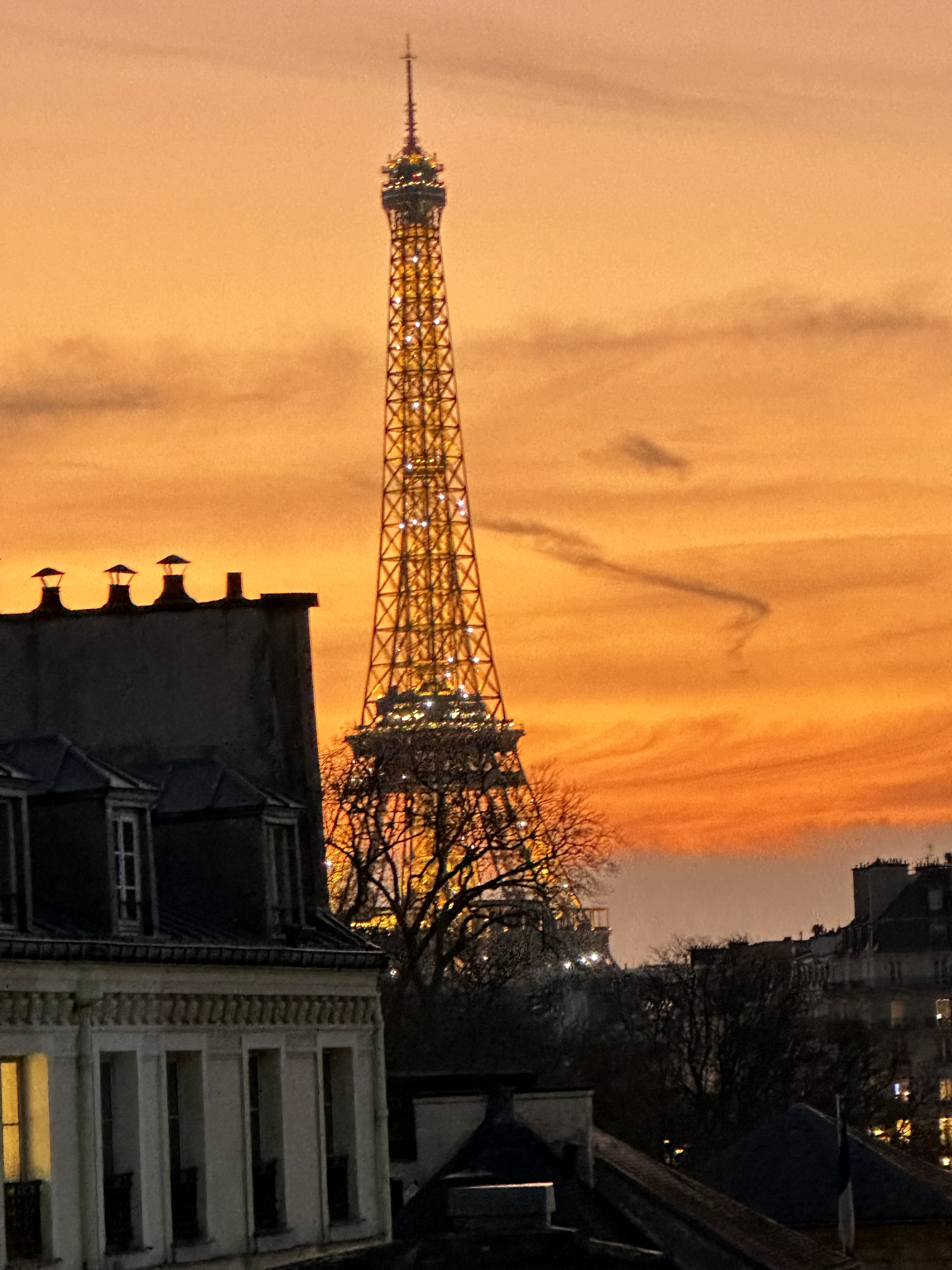 Center Incredible View Eiffel Tower Paris roof
