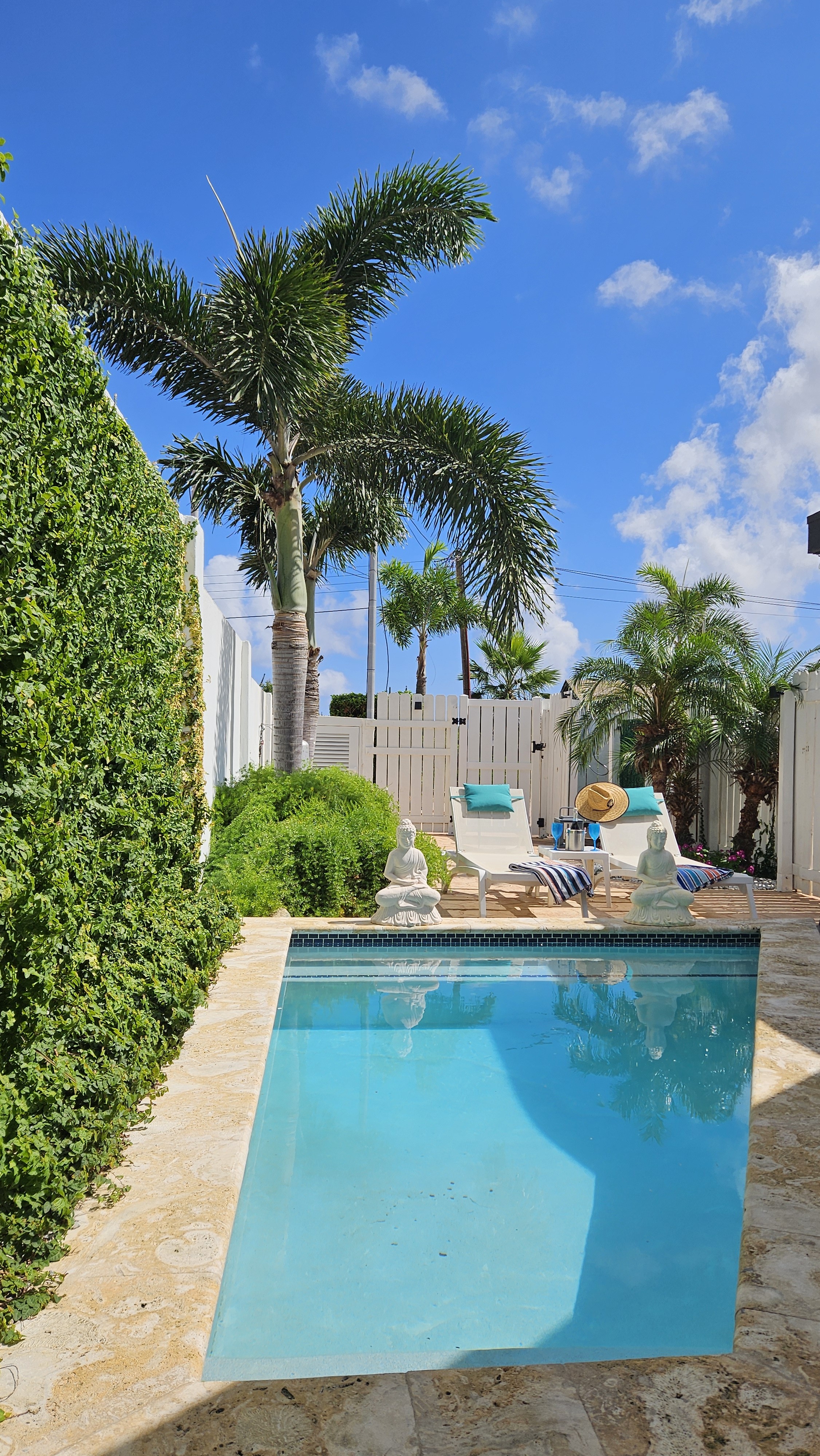 Modern & Cozy, 1BR Apt with Private Pool