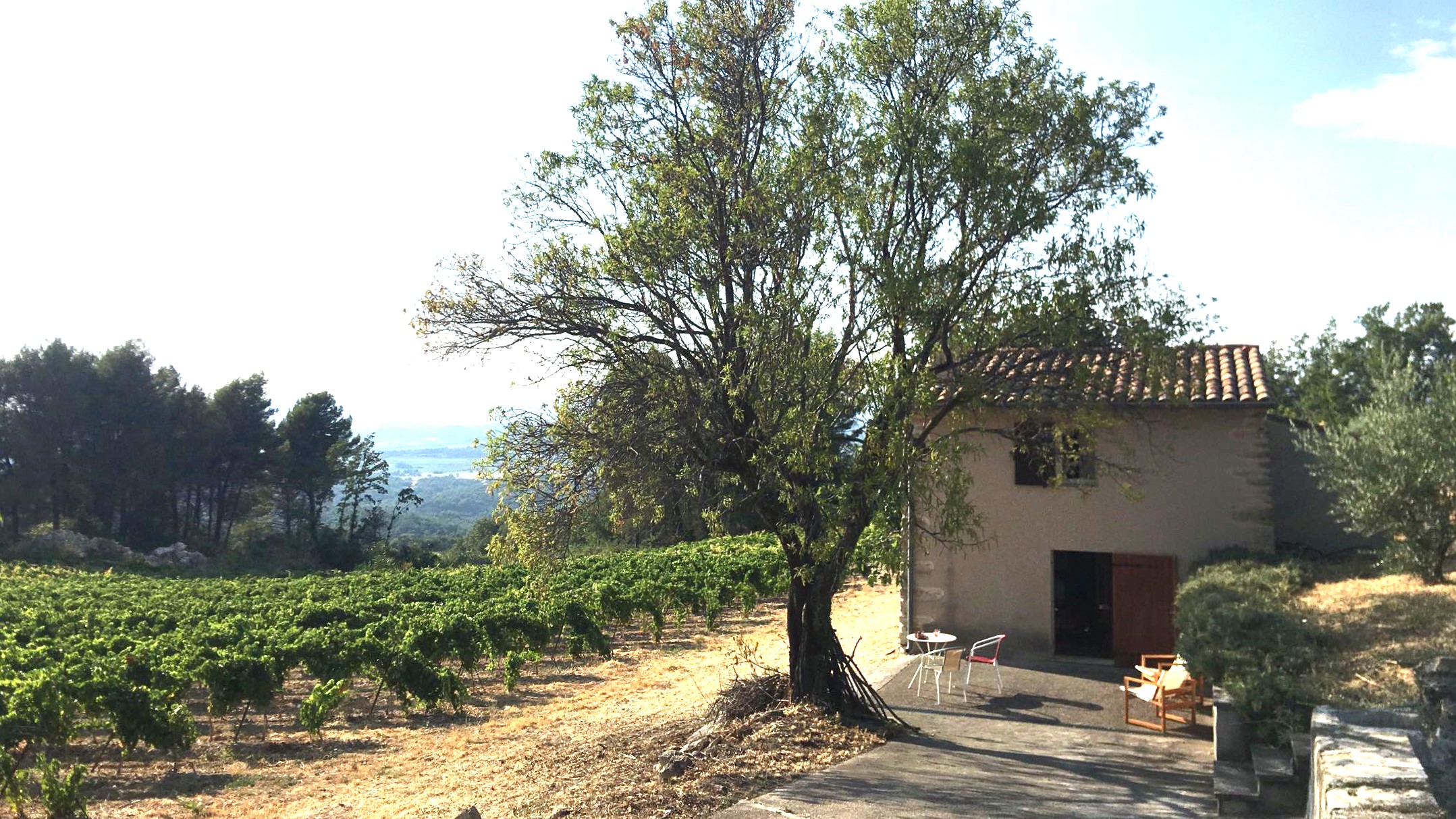 Cabin in the vines in Luberon