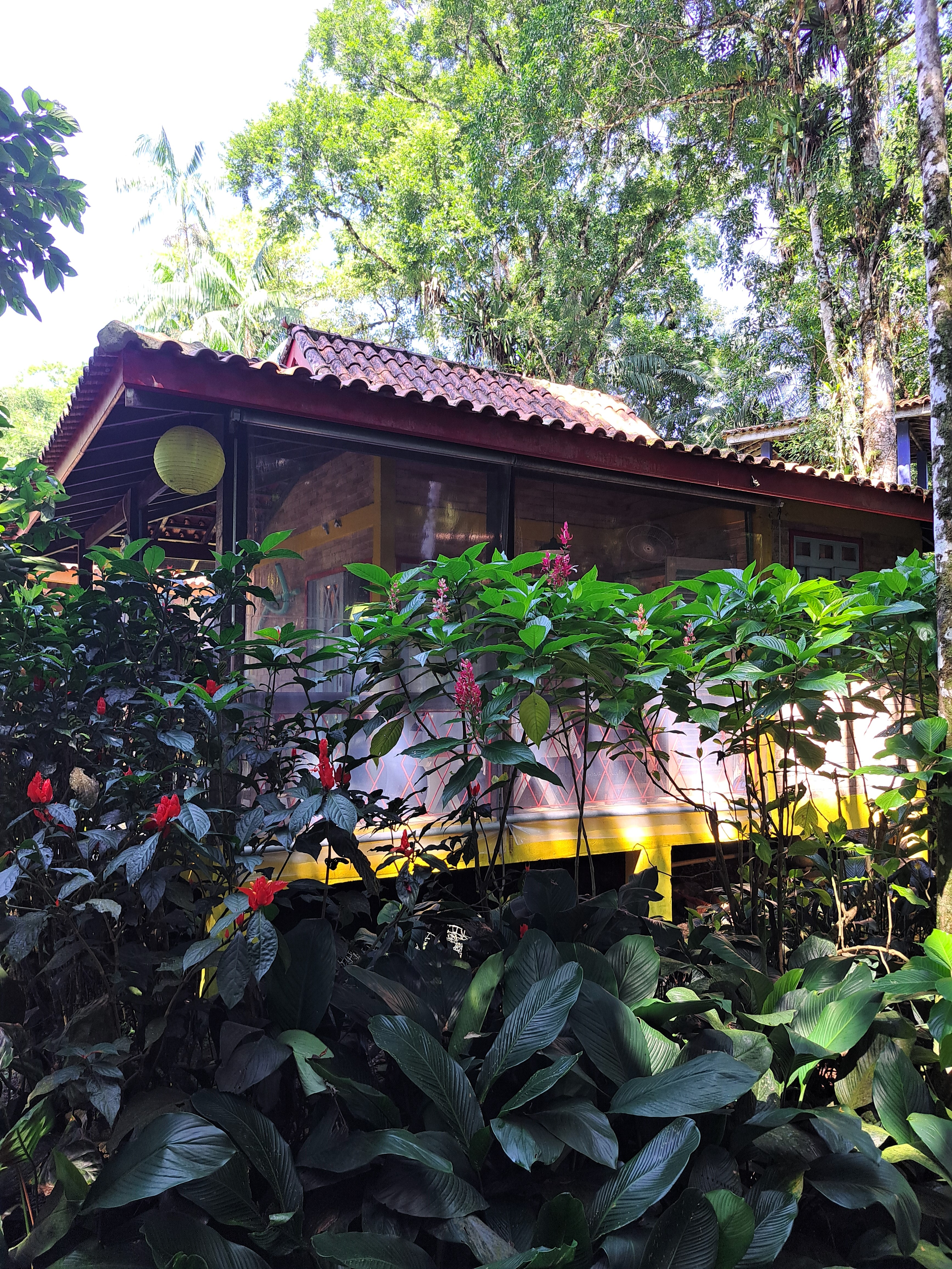 Chales at Camburi beach near forest