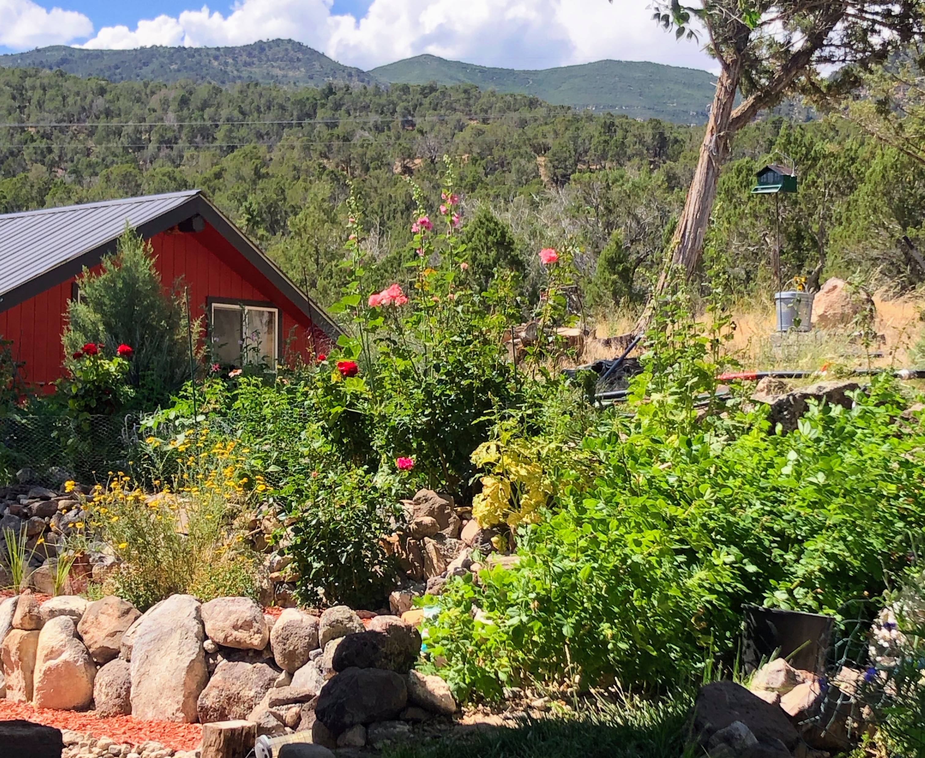 The Red House on Farmers Mine Road