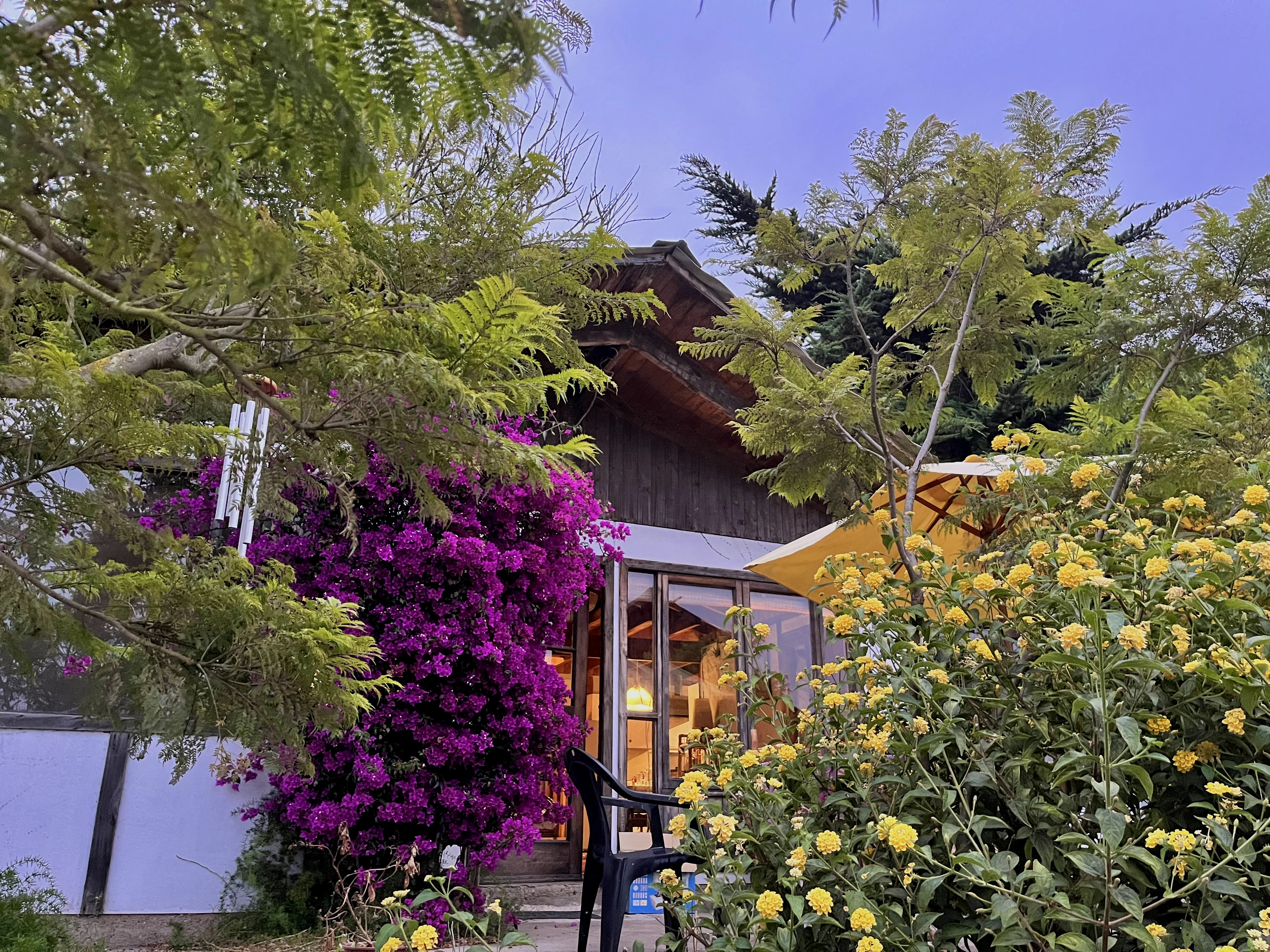 Santuario de ANTAR en Horcón