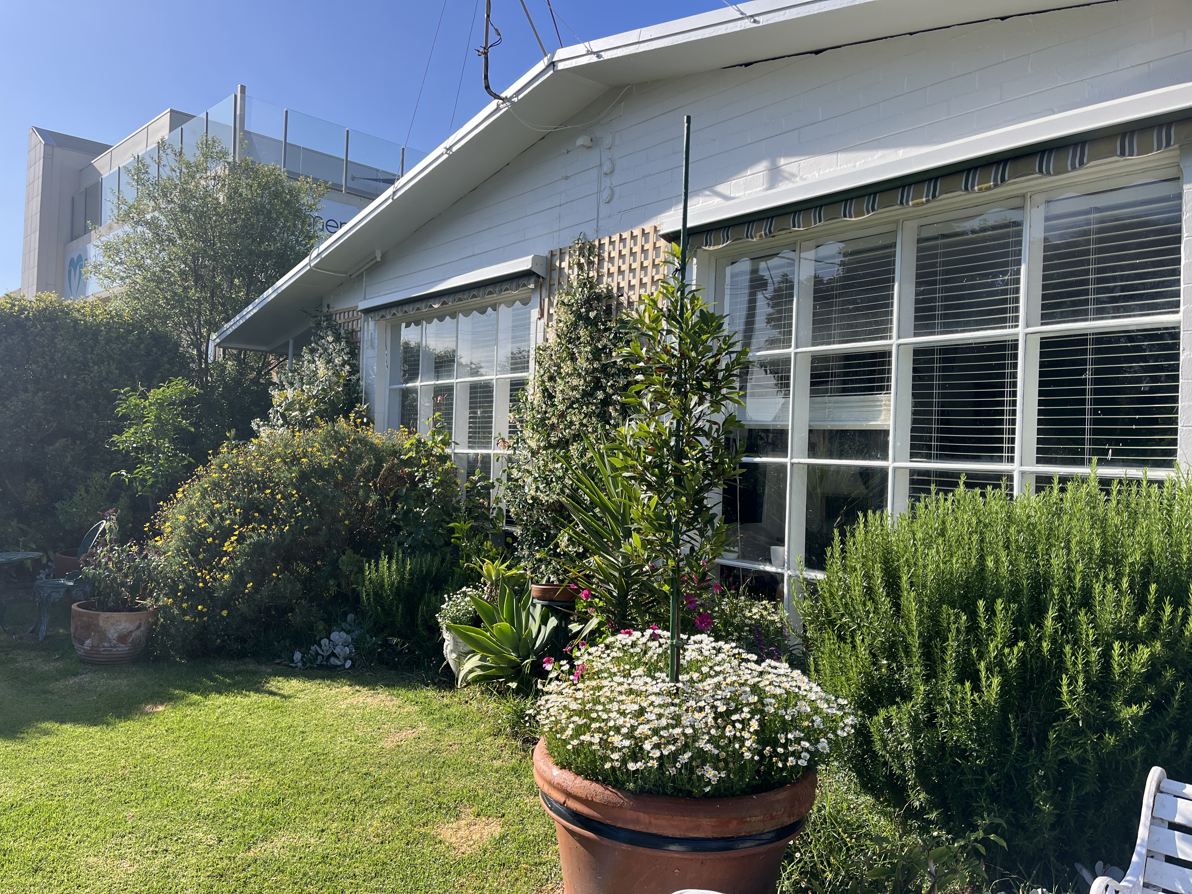 Convenient Sunset Garden by the Beach