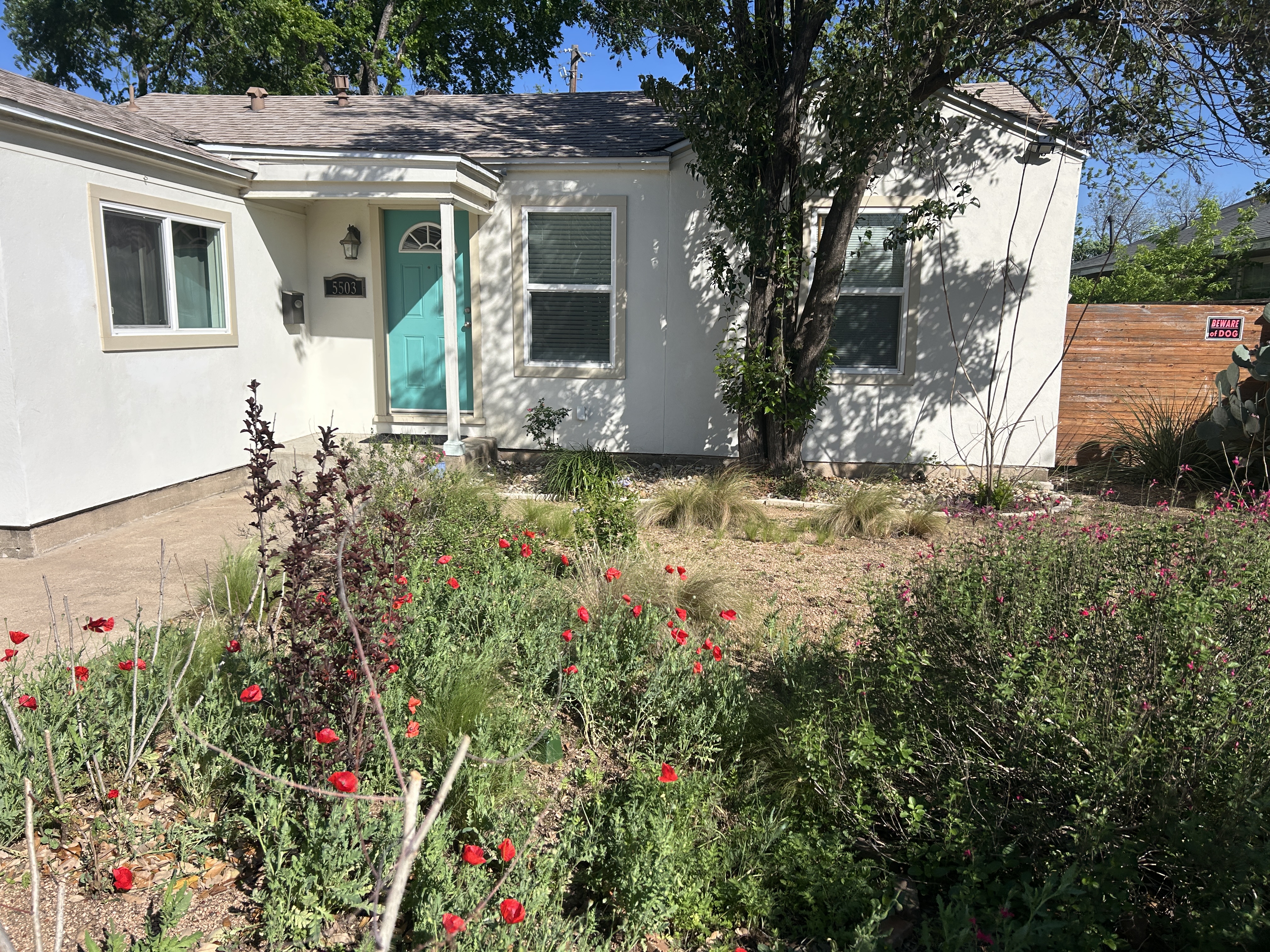 Short + long term - Central Austin! in 78751, Austin