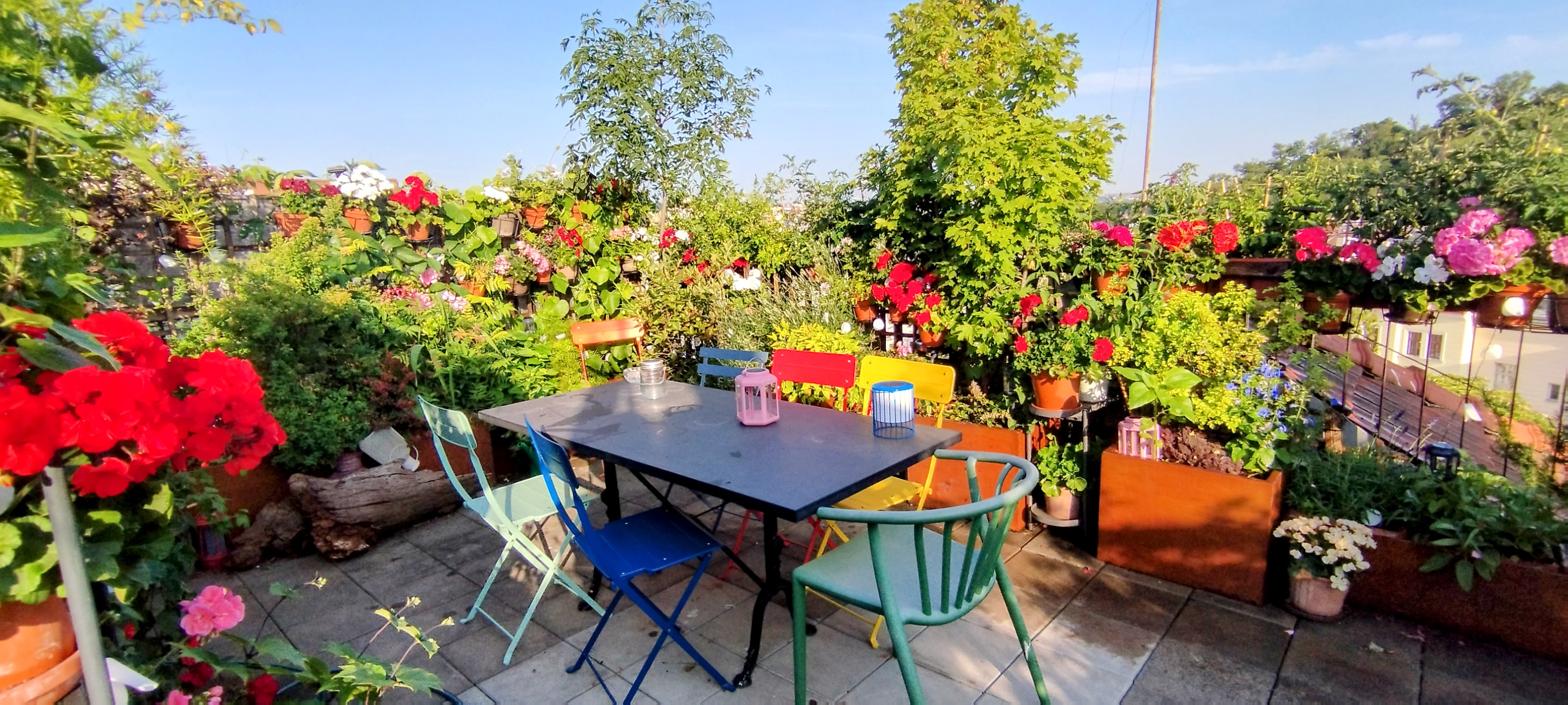 chambre romantique et rooftop