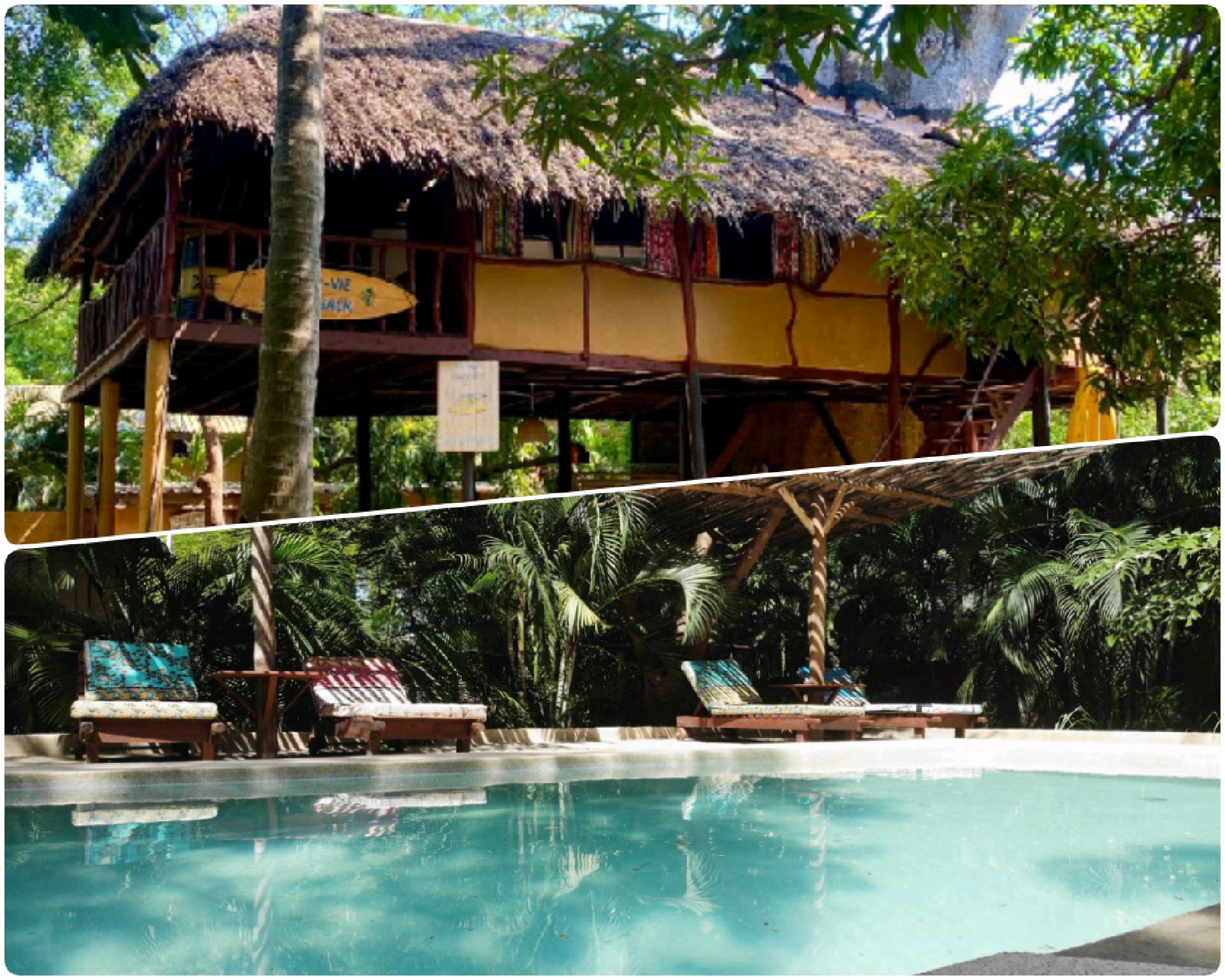 Baobab Bliss Tree House - peaceful, eco, paradise