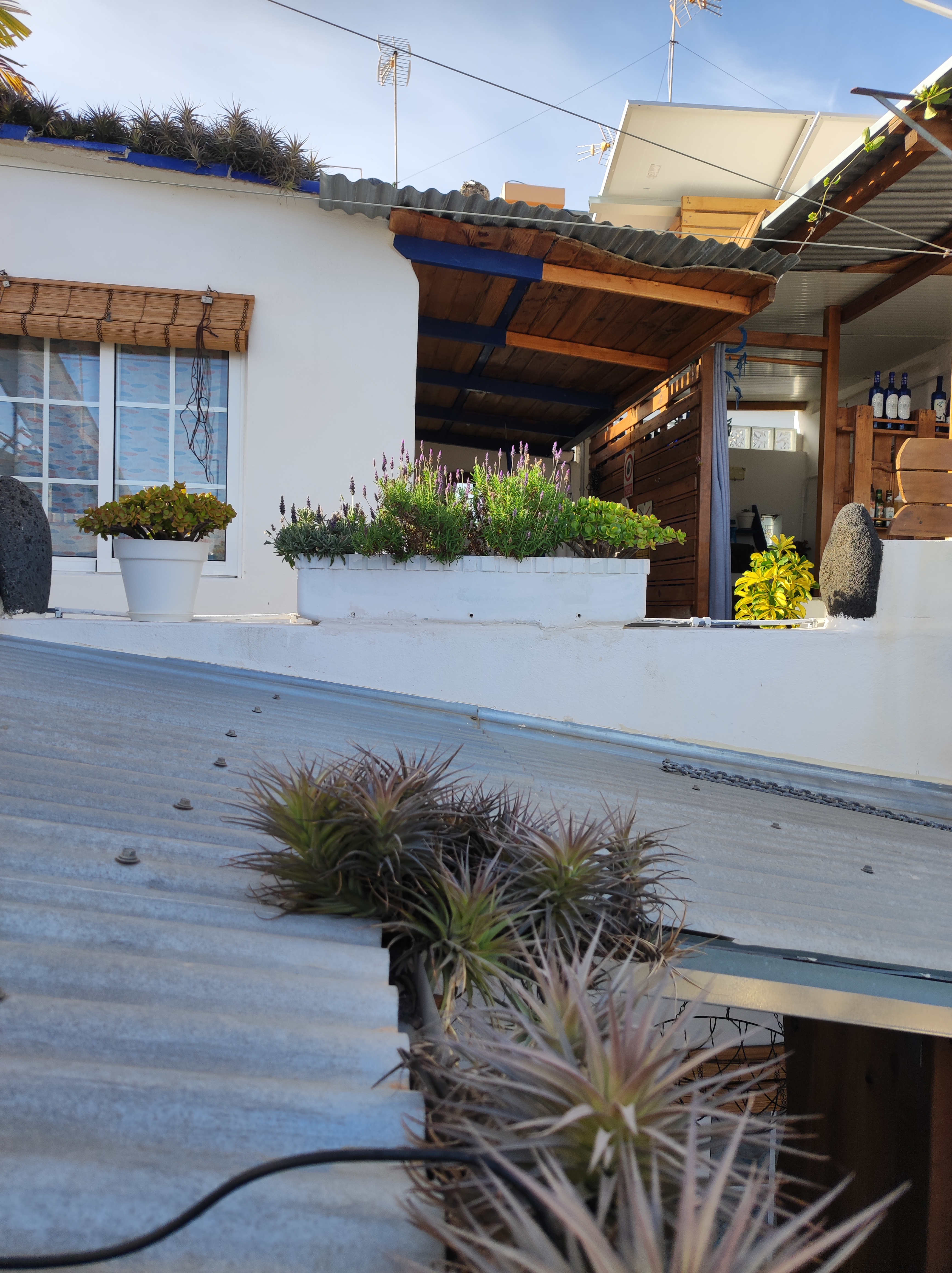 Roof Cabin.  La Casita Azul