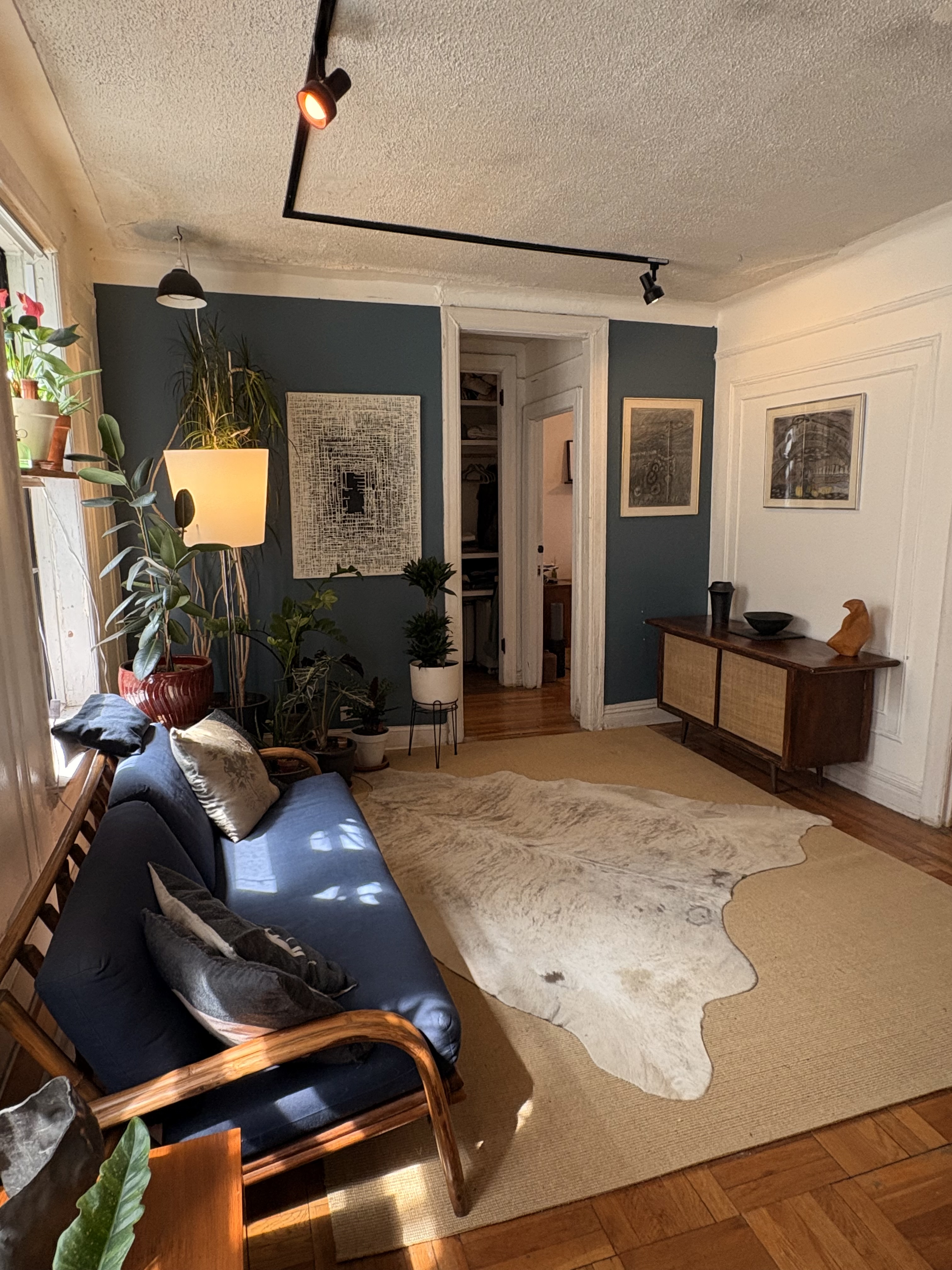 Big Beautiful Brooklyn Apt @ Park! in Prospect-Lefferts Gardens, New York City