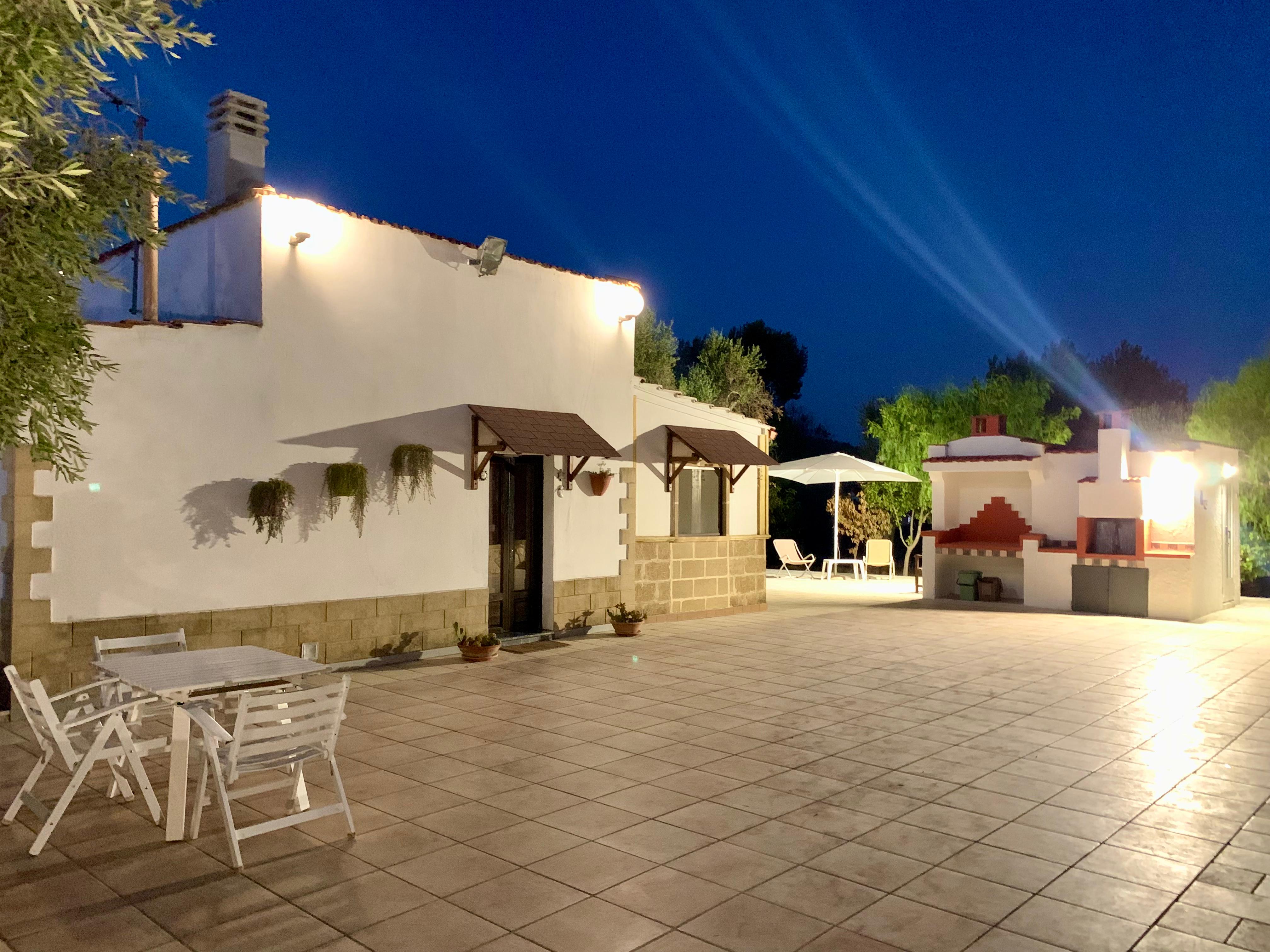 Small cottage nestled in olive trees