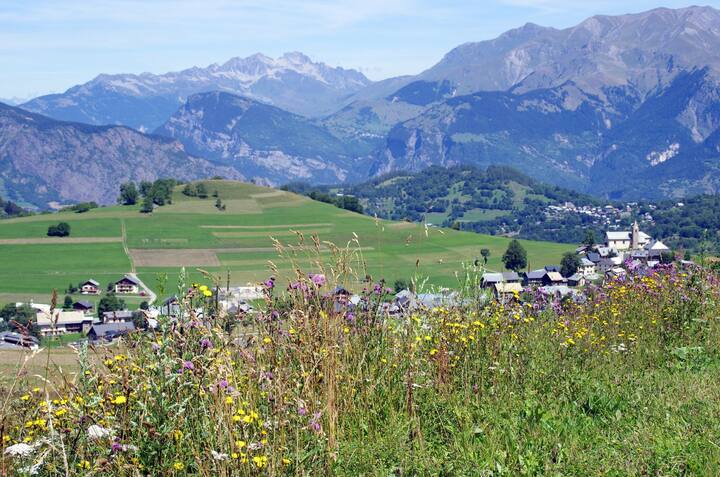 Summer in the mountains! Great air duplex