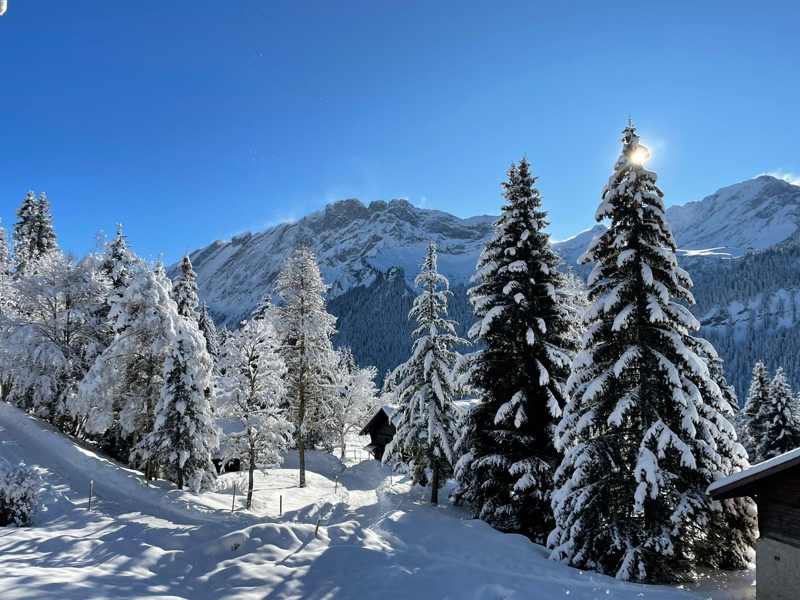 Beautiful little cocoon in the heart of the Alps